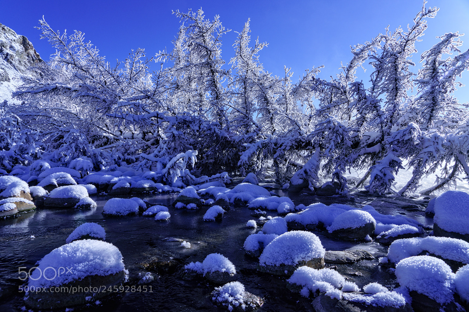 Sony a7R III sample photo. Beautiful winter scene along photography
