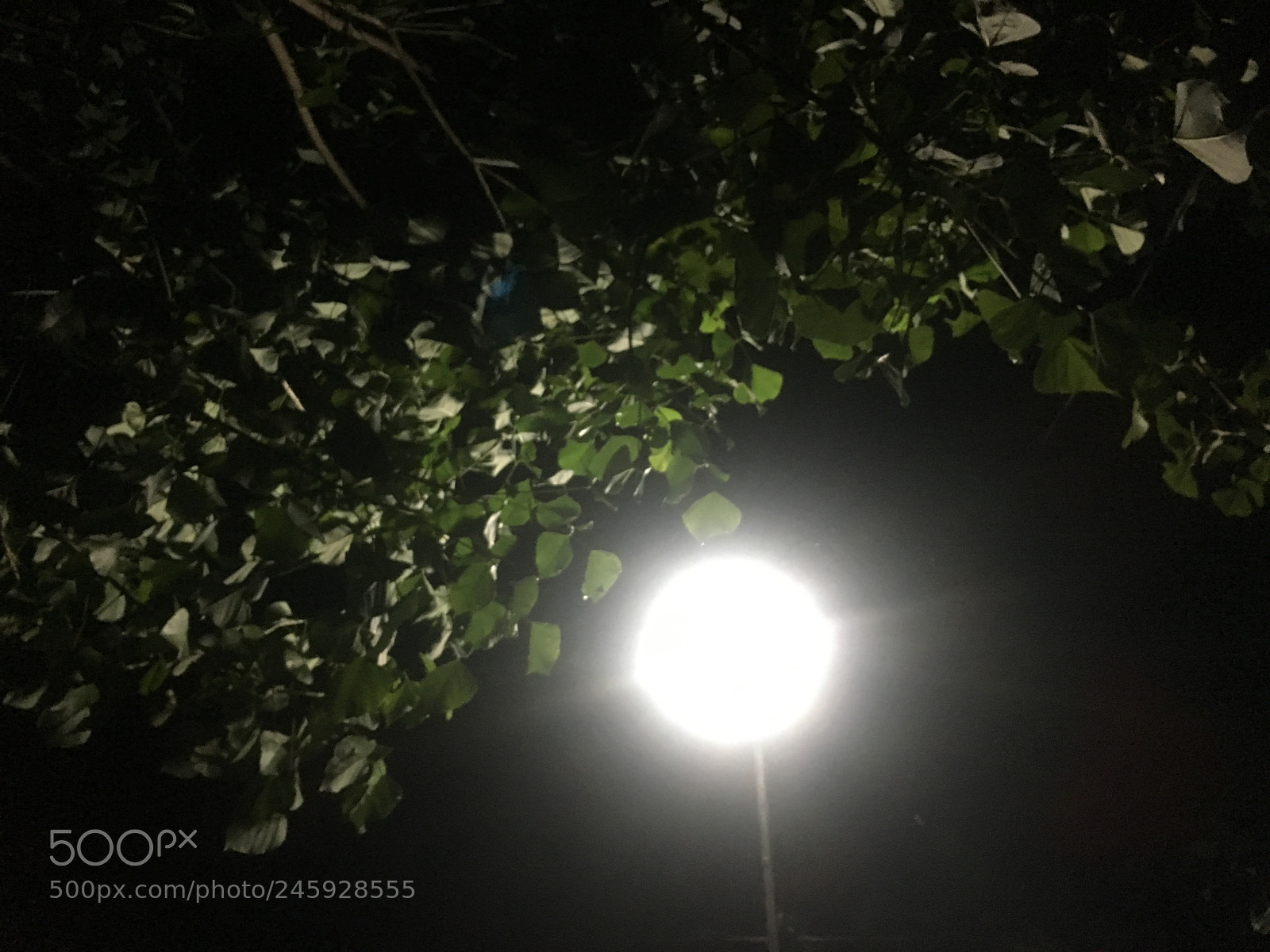 Apple iPhone 6s sample photo. Light photography