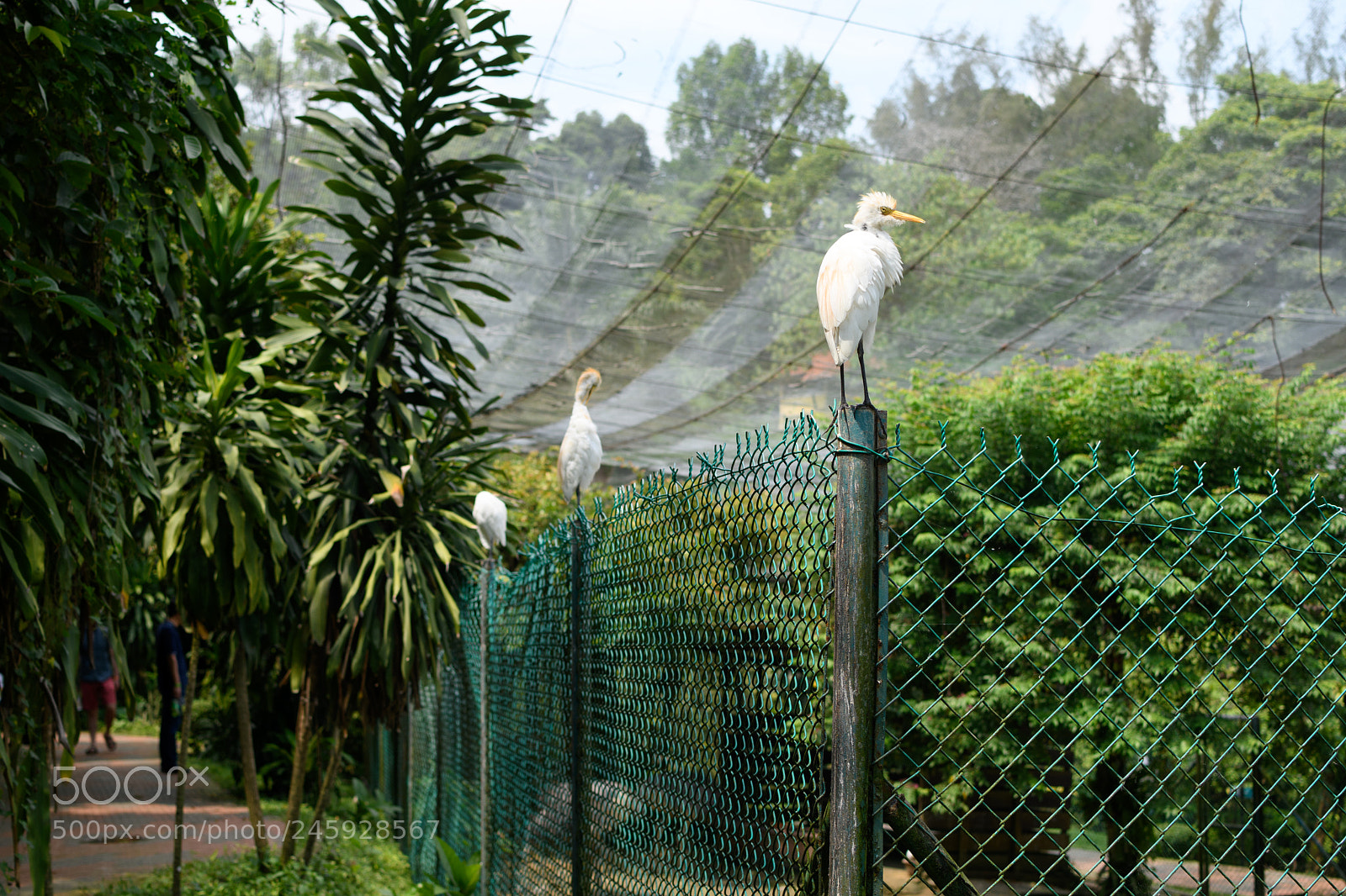 Nikon D7500 sample photo. Security photography