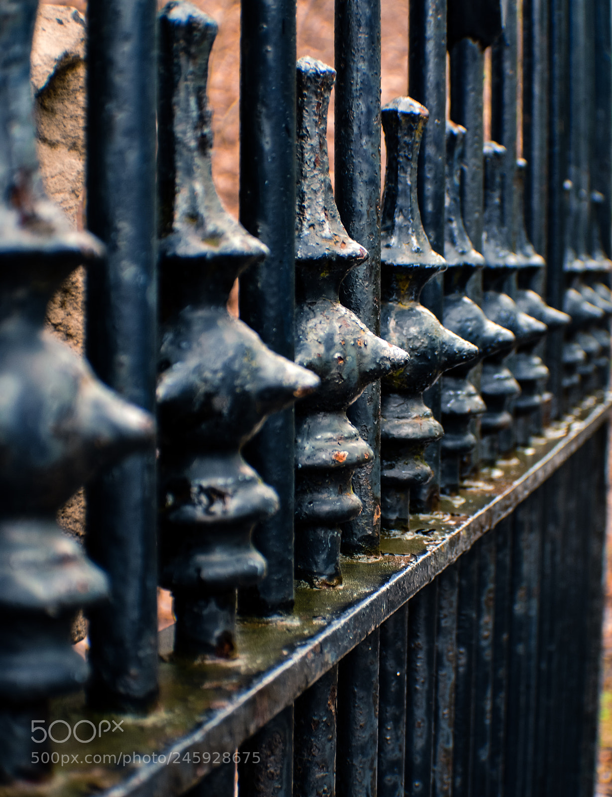 Nikon D5200 sample photo. Untitled_gate_fence photography