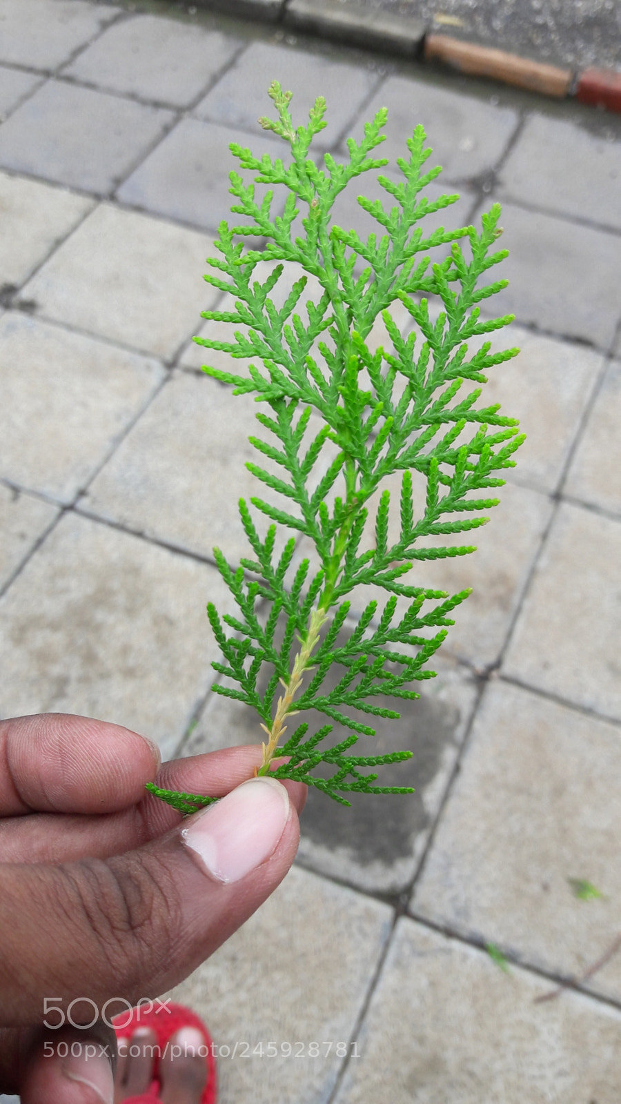 Samsung Galaxy J7 sample photo. Untitled photography