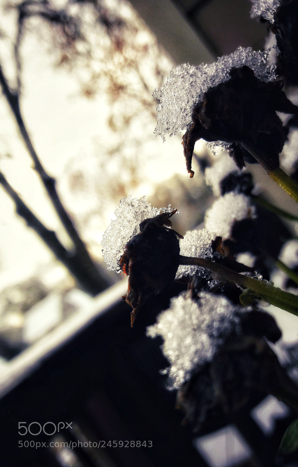 Samsung Galaxy A5(2016) sample photo. Melting ice. photography
