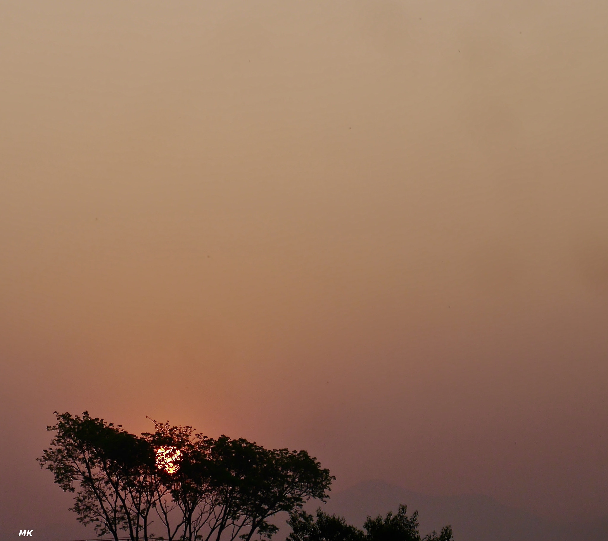 Panasonic Lumix DMC-GF6 sample photo. Good morning photography