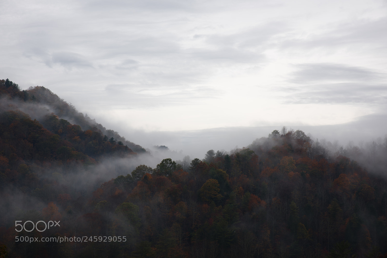 Nikon D810 sample photo. God photography
