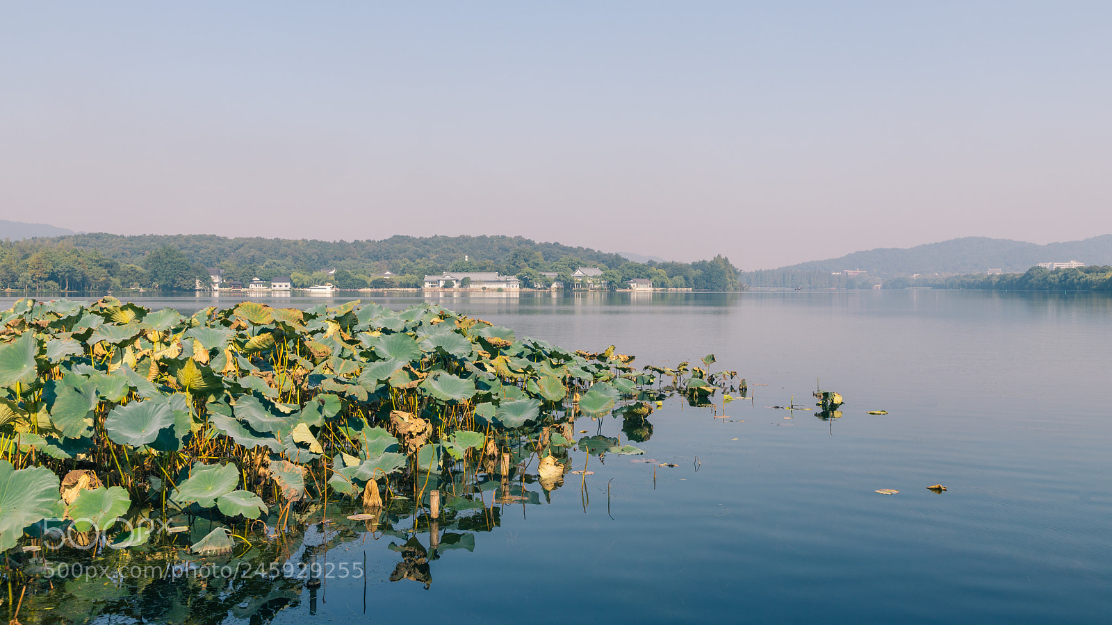 Canon EOS 6D Mark II sample photo. Fish viewing at the photography