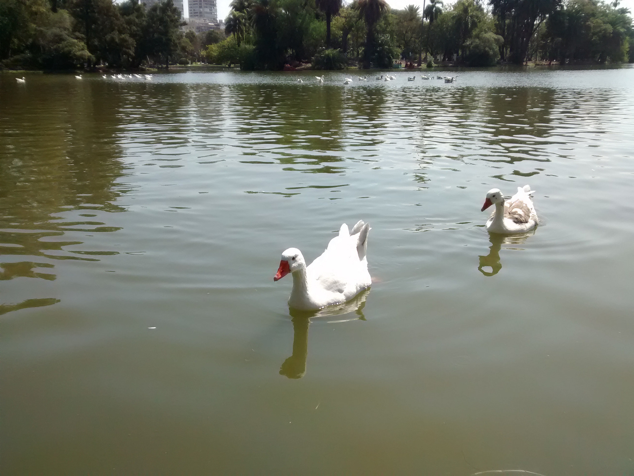 Motorola XT1032 sample photo. Img_20150222_151634.jpg photography