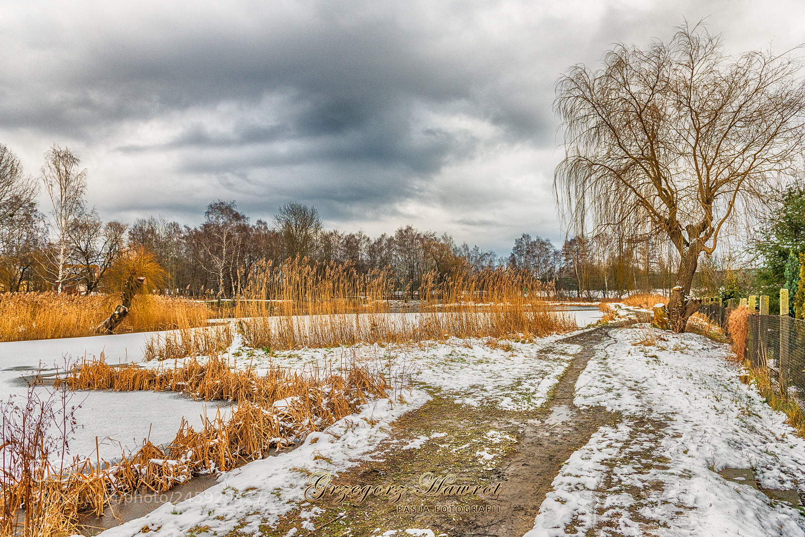 Nikon D800 sample photo. Szachta w sośnicy photography