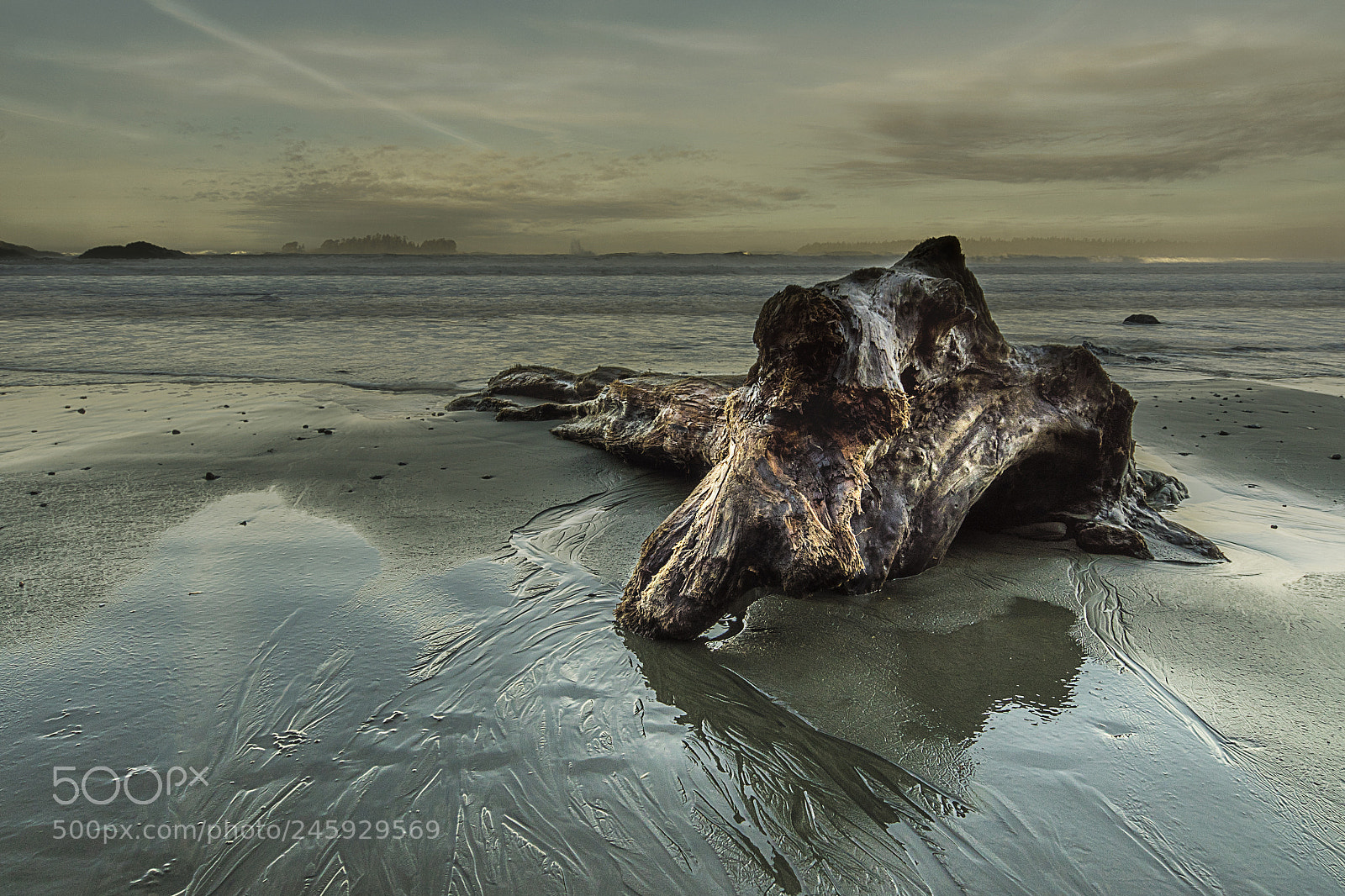 Sony a7R sample photo. Last stand photography