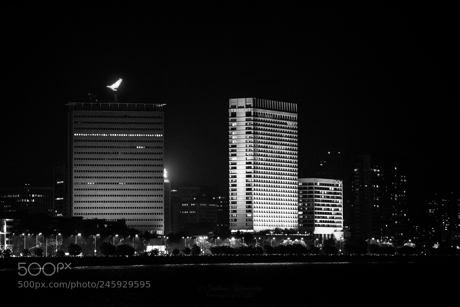 Nikon D5200 sample photo. City lights photography