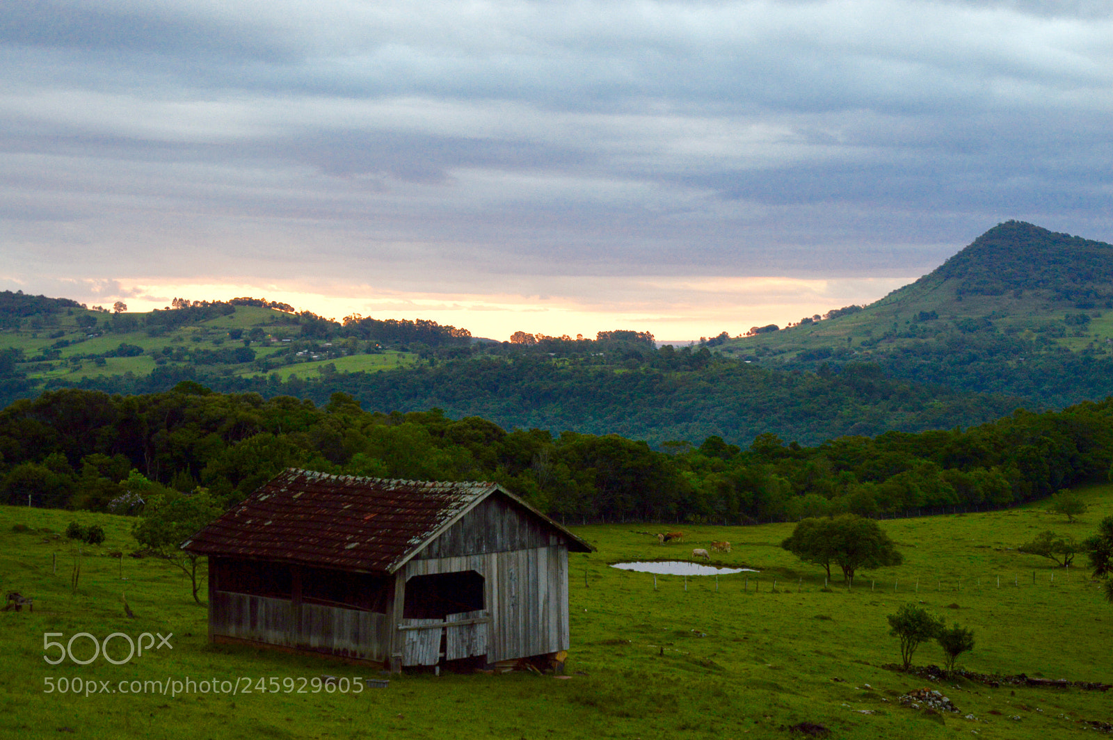 Nikon D3200 sample photo. Untitled photography