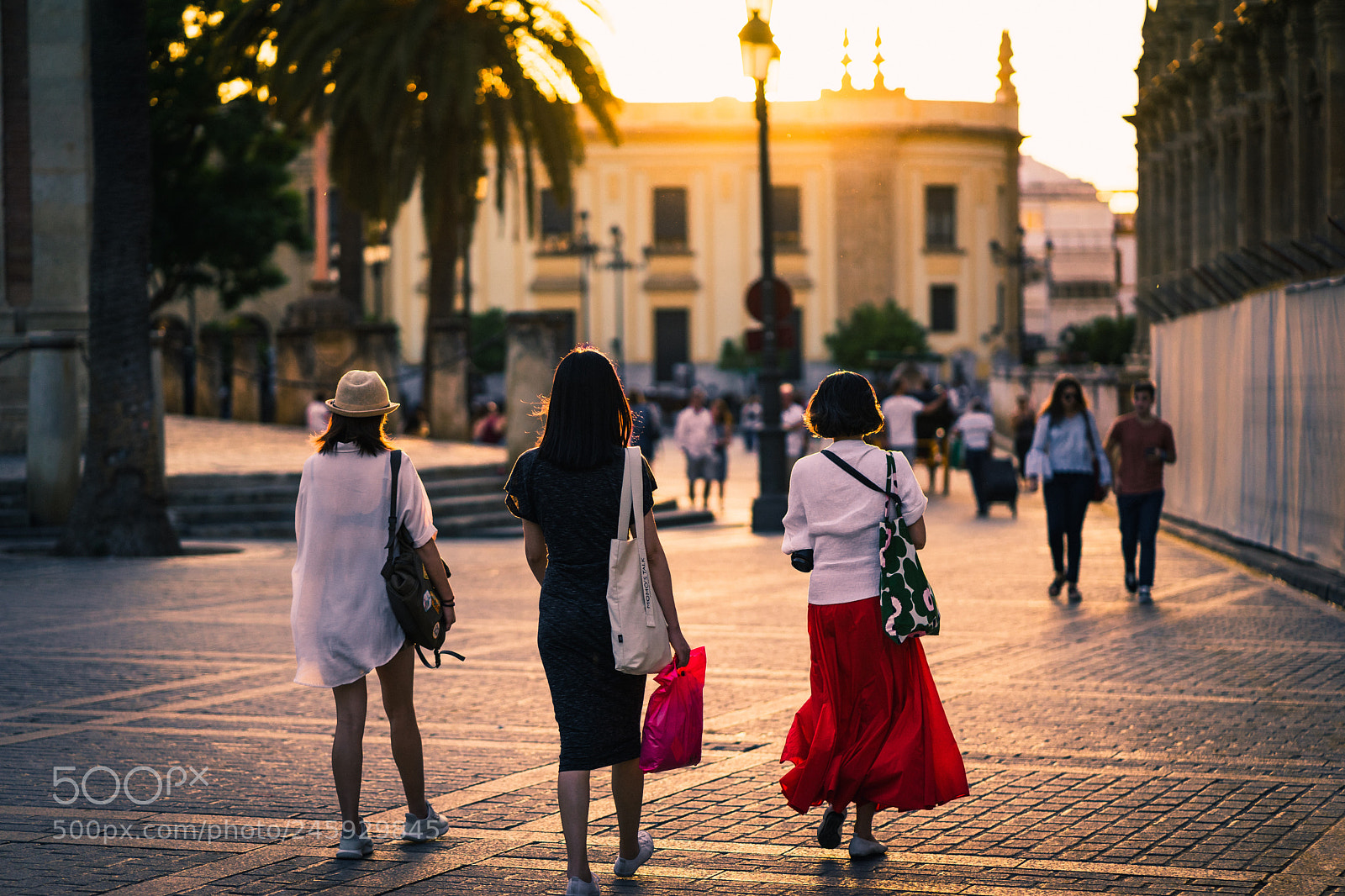 Sony a7 II sample photo. Return photography