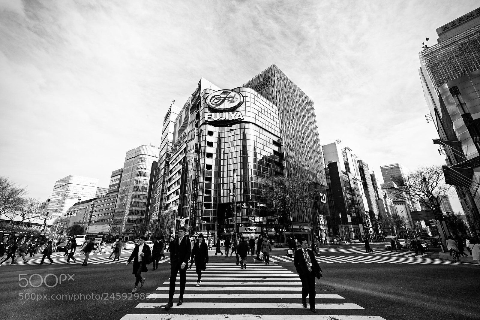 Nikon D800 sample photo. Rush hour photography