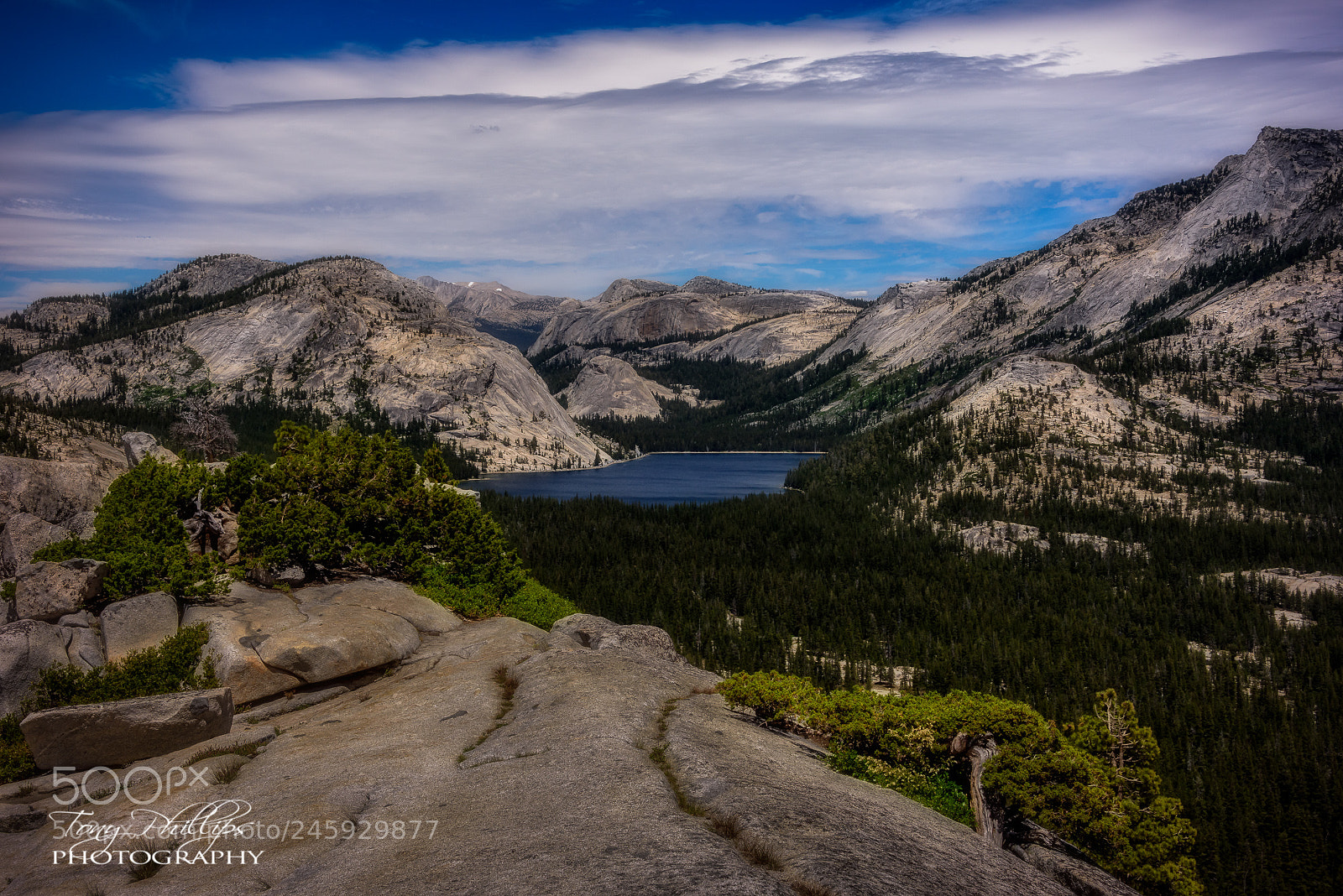 Nikon D810 sample photo. View of tenaya photography