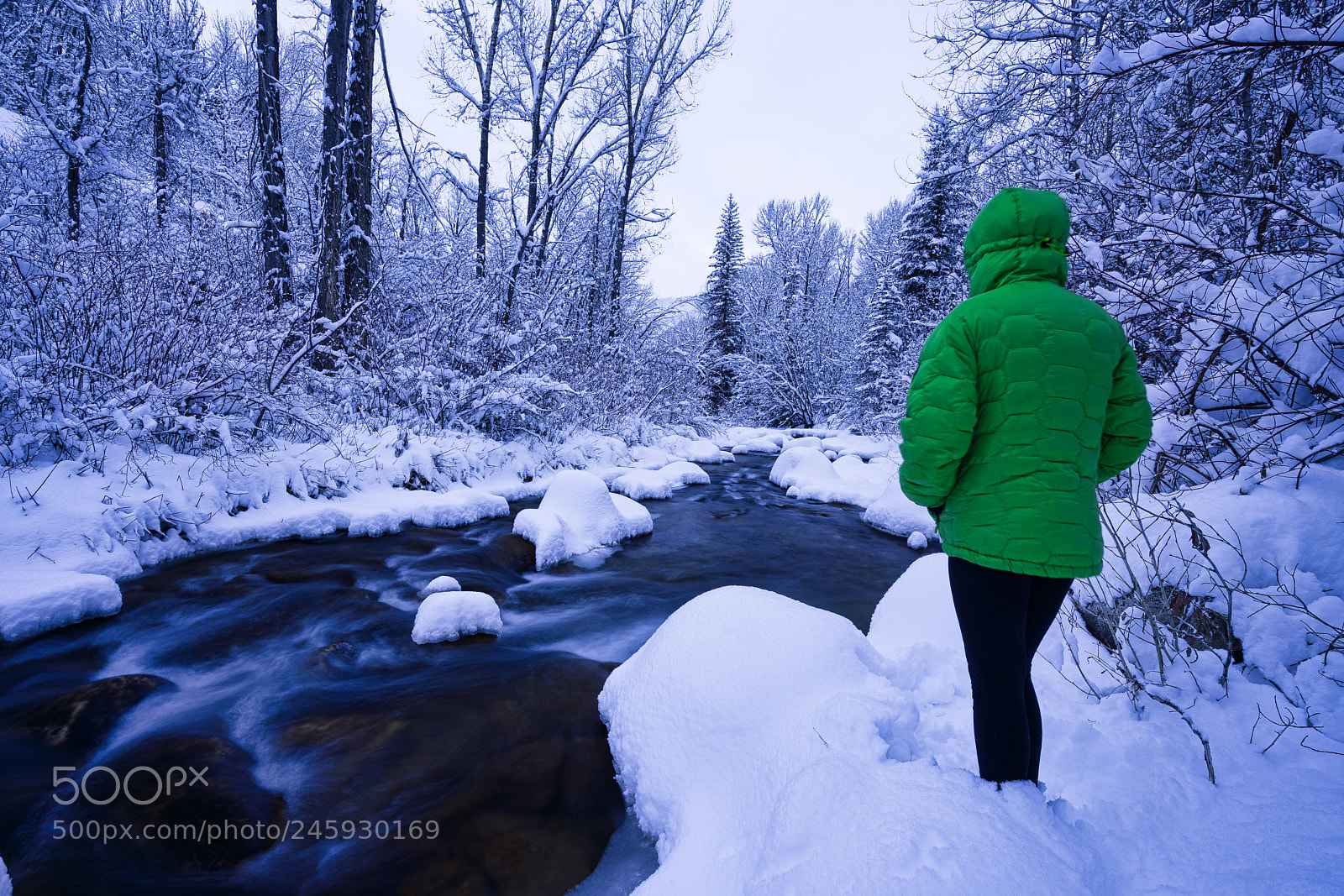 Sony a7R III sample photo. Person standing along scenic photography
