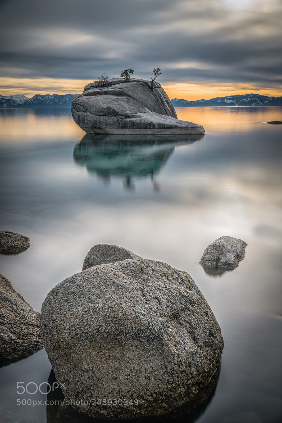 Nikon D850 sample photo. Bonsai rock le photography