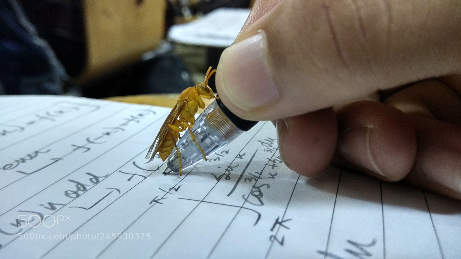 Xiaomi Redmi Note 4 sample photo. Untitled photography