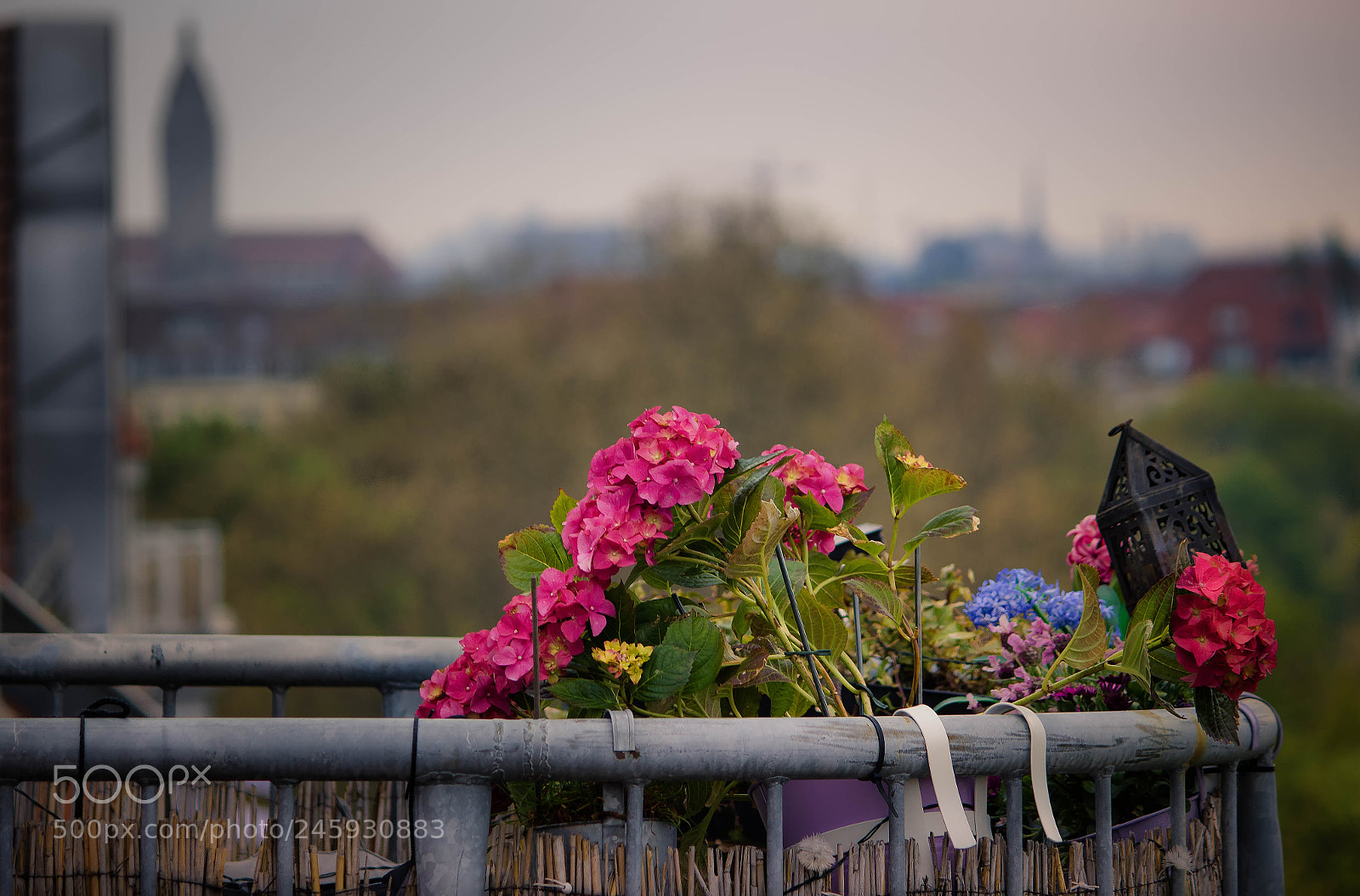 Canon EOS 600D (Rebel EOS T3i / EOS Kiss X5) sample photo. Edit edit edit photography