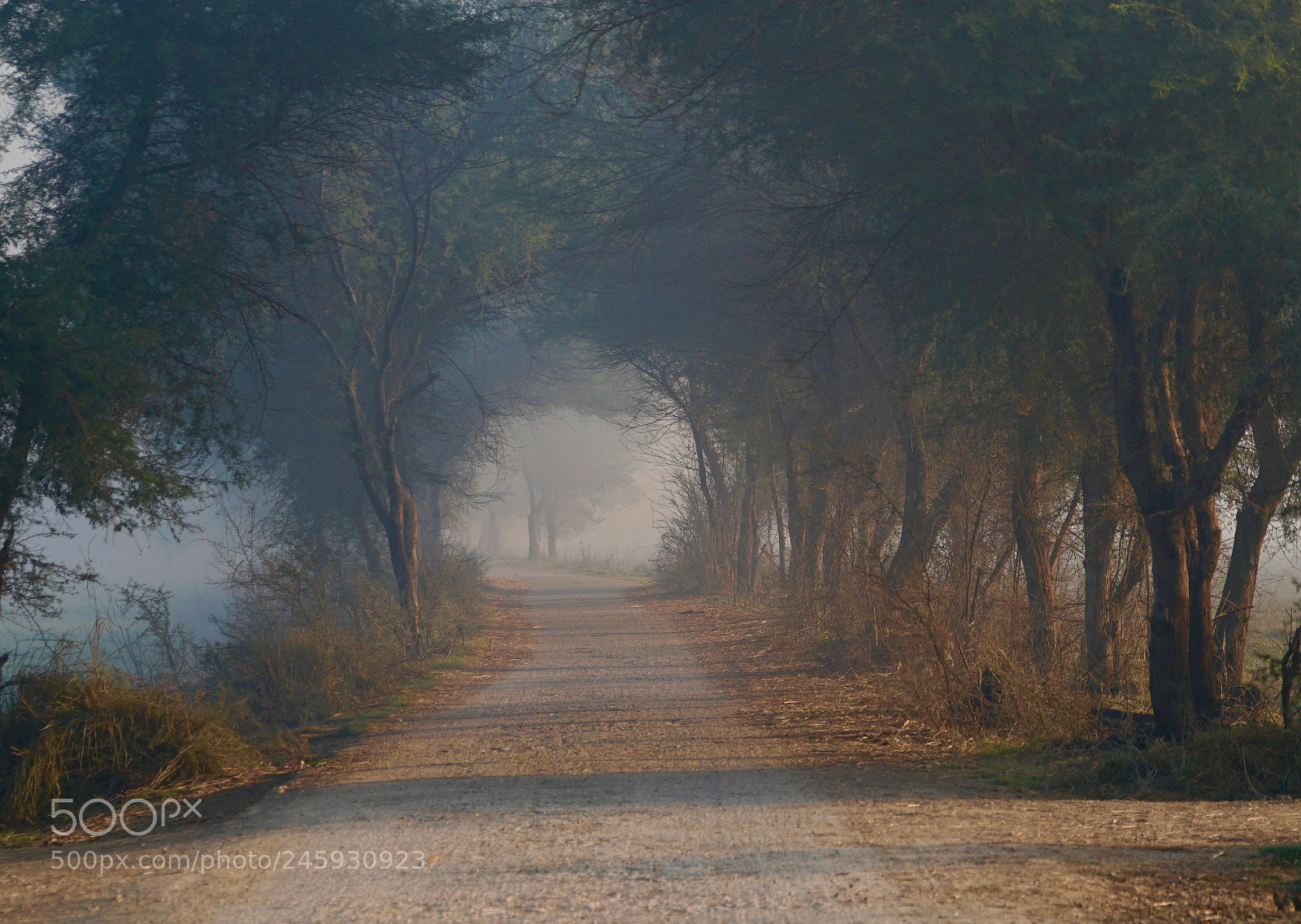 Sony a6300 sample photo. Dsc photography