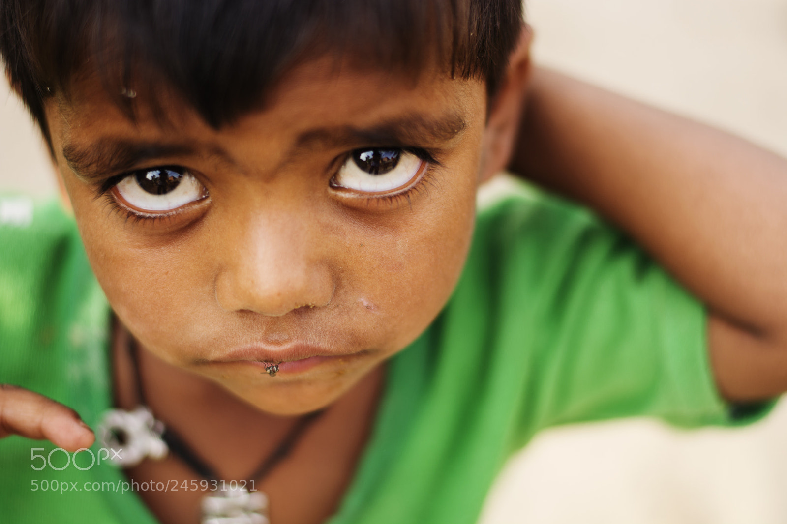 Nikon D5200 sample photo. The boy in green photography