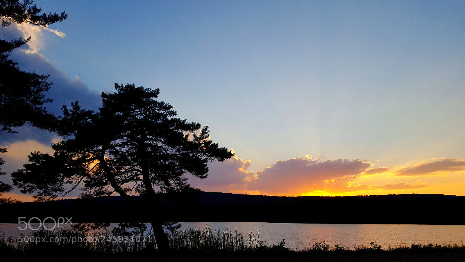 Samsung GALAXY S6 edge sample photo. Silhouetted sunset photography