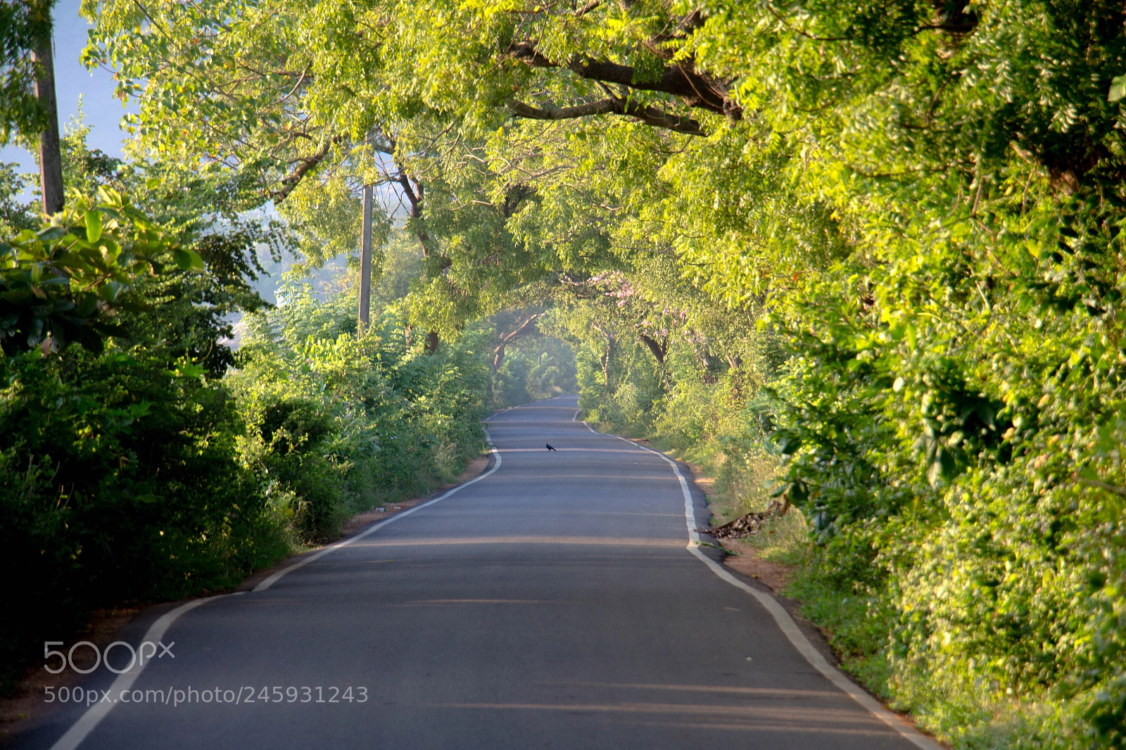 Canon EOS 700D (EOS Rebel T5i / EOS Kiss X7i) sample photo. The bliss photography