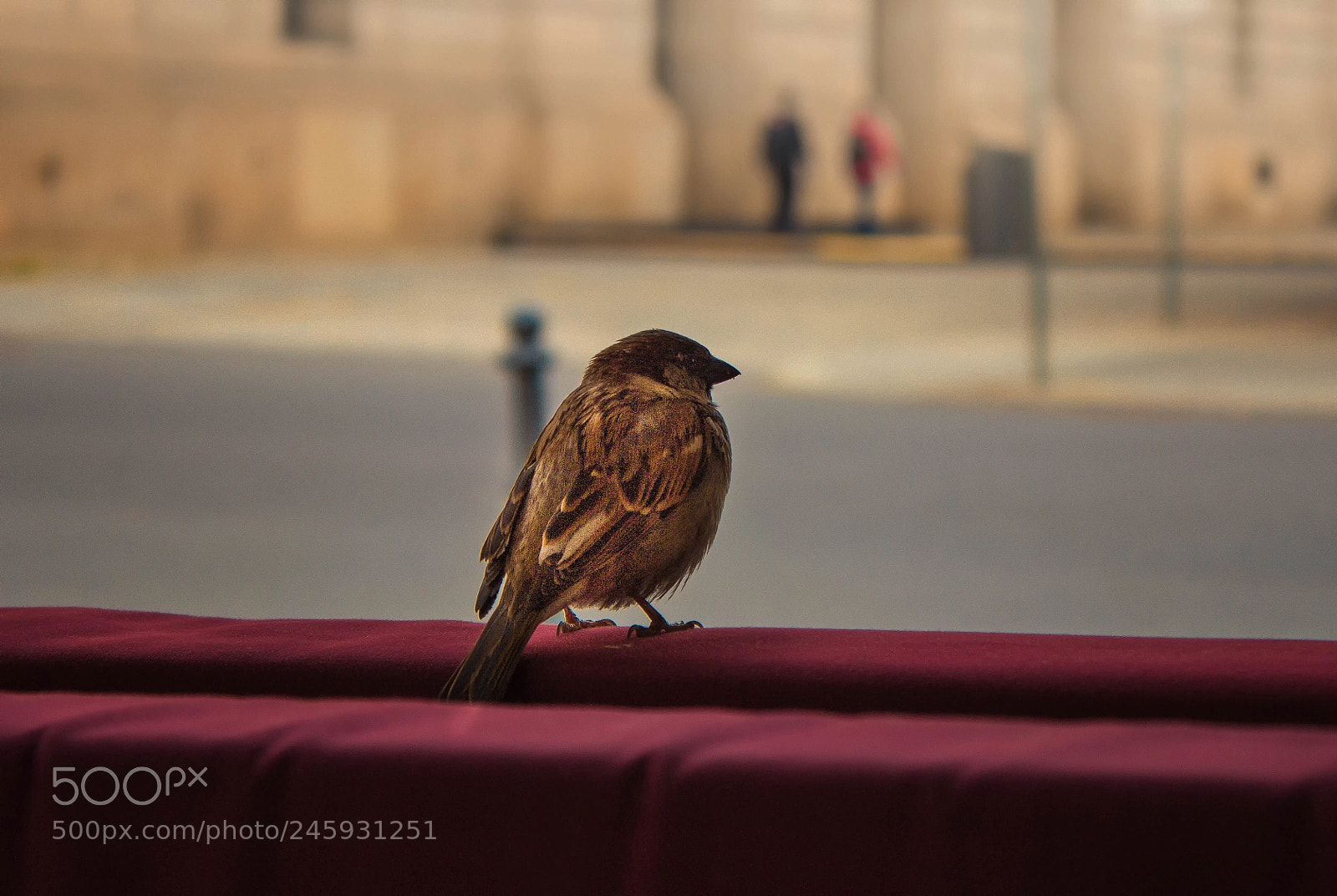 Canon EOS 600D (Rebel EOS T3i / EOS Kiss X5) sample photo. Edit edit photography