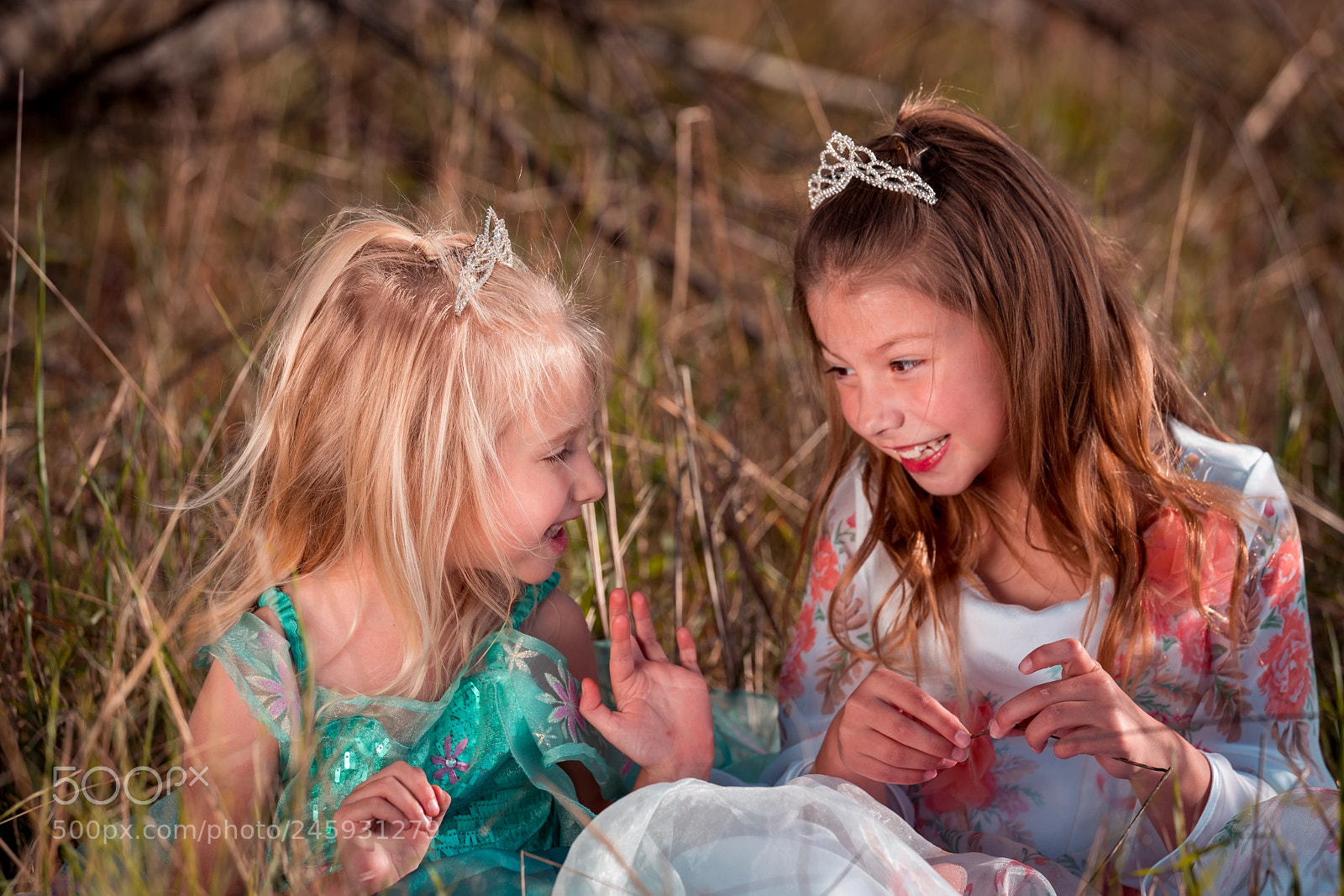 Sony a7R III sample photo. Telling tales of old photography