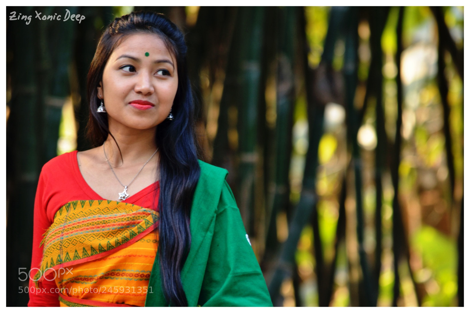 Nikon D5200 sample photo. North-east india photography