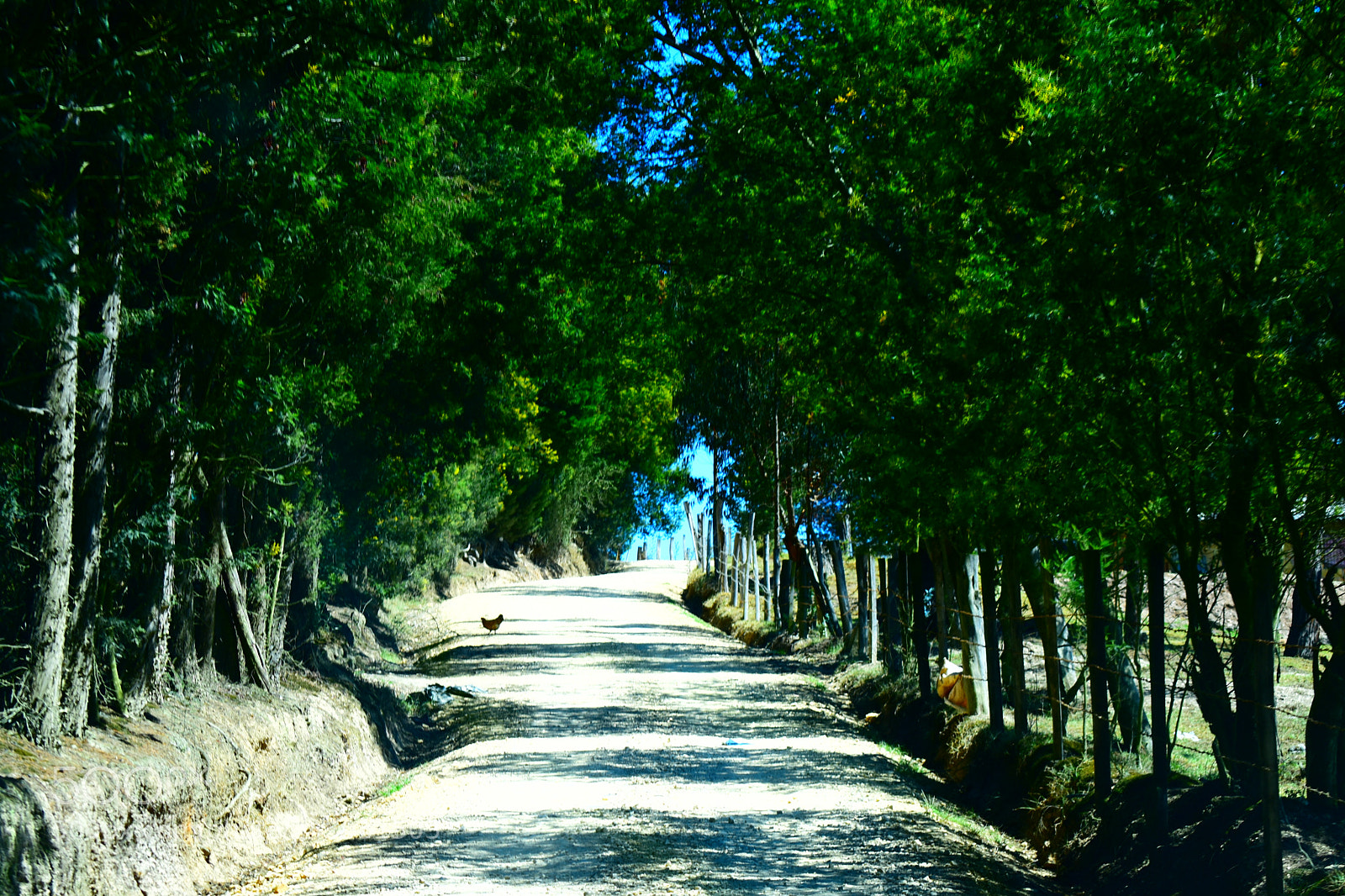 Nikon D3400 sample photo. Dsc photography