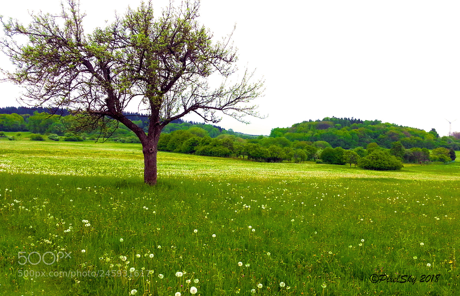 Samsung Galaxy S3 sample photo. Fields photography