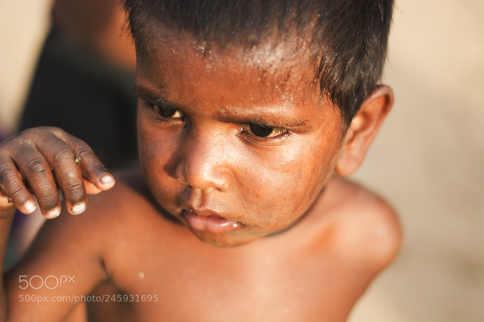 Nikon D5200 sample photo. Helplessness in the eyes photography