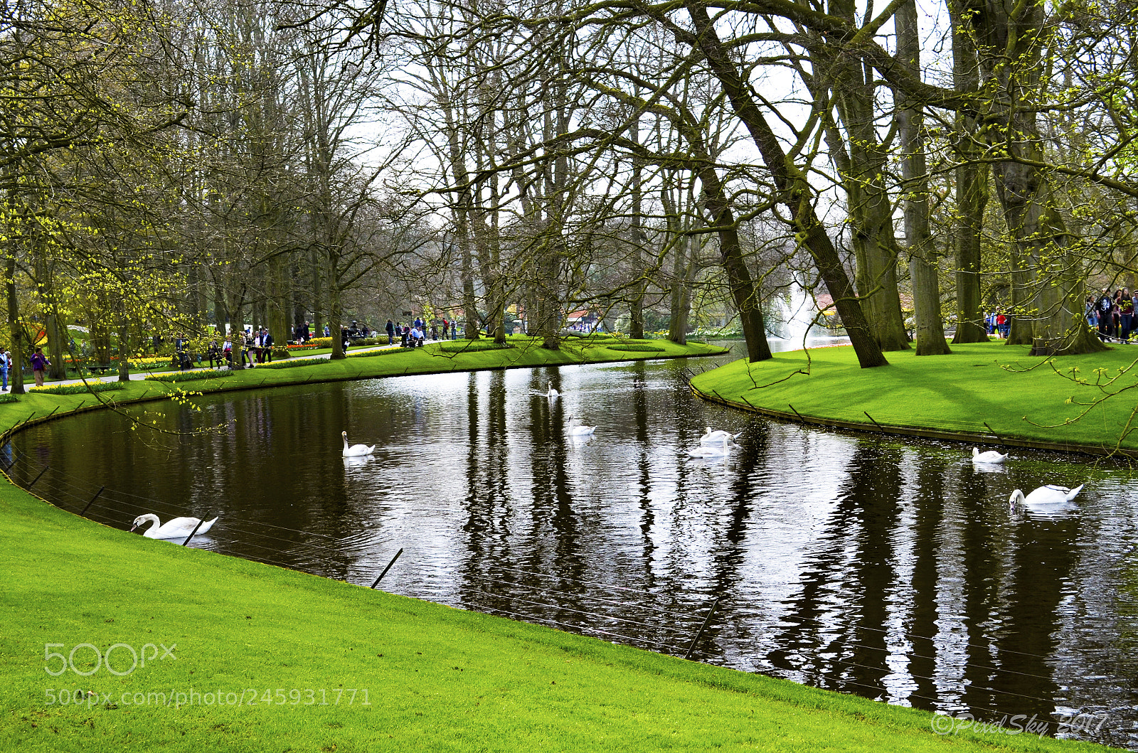 Nikon D5100 sample photo. At the park photography
