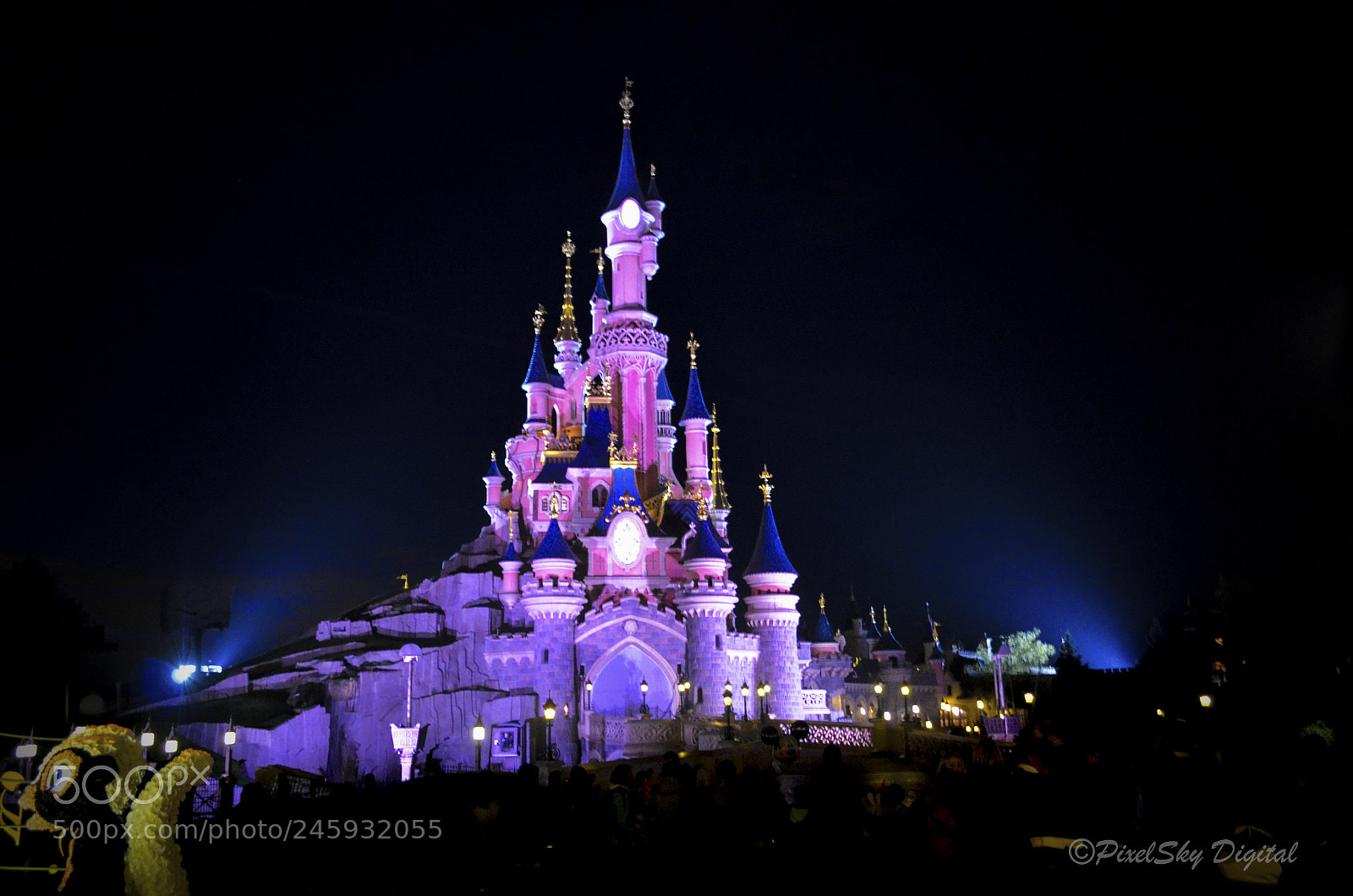 Nikon D5100 sample photo. Disney castle photography