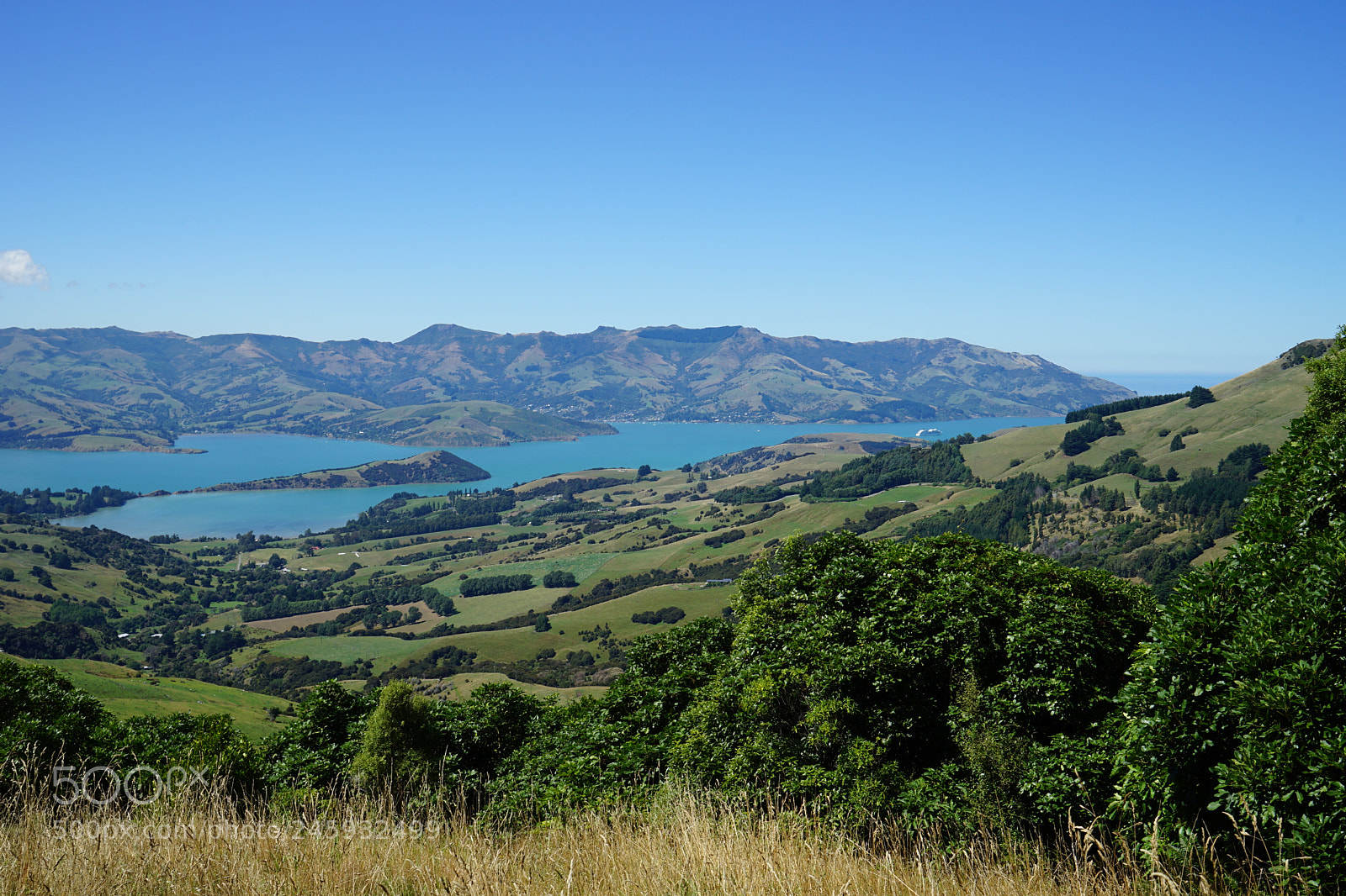 Sony a7 II sample photo. Akaroa day trip photography