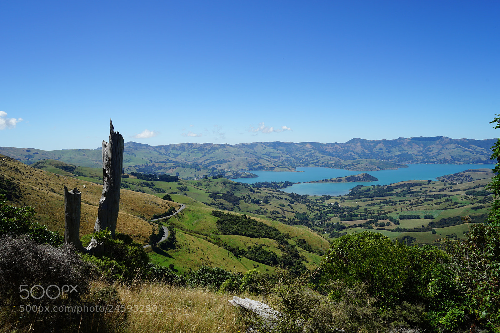 Sony a7 II sample photo. Akaroa day trip photography