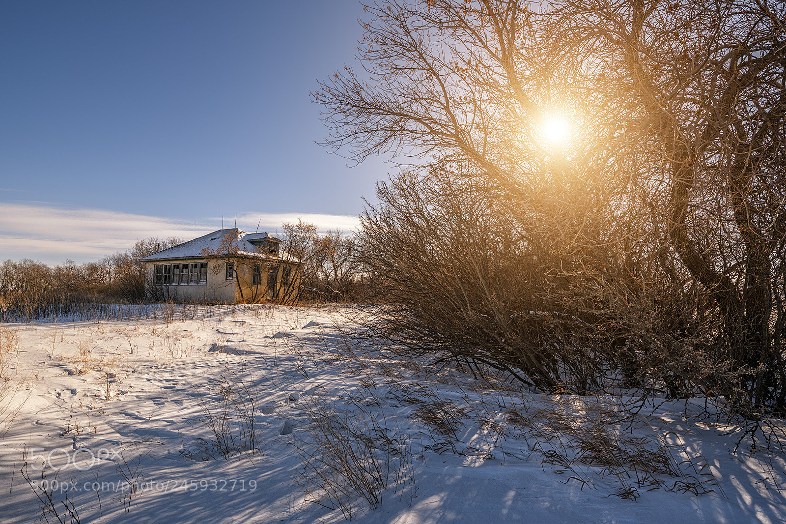 Nikon D850 sample photo. Schools out forever! photography