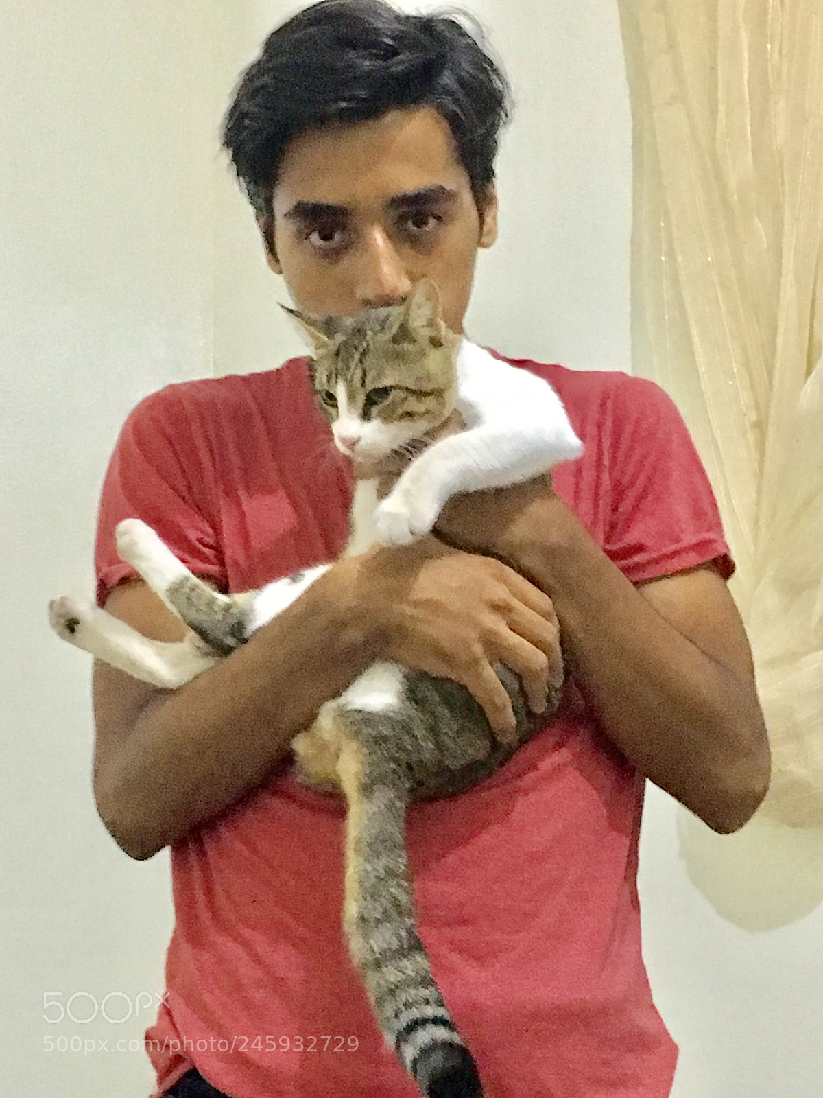 Apple iPhone 6s sample photo. Cute cat photography