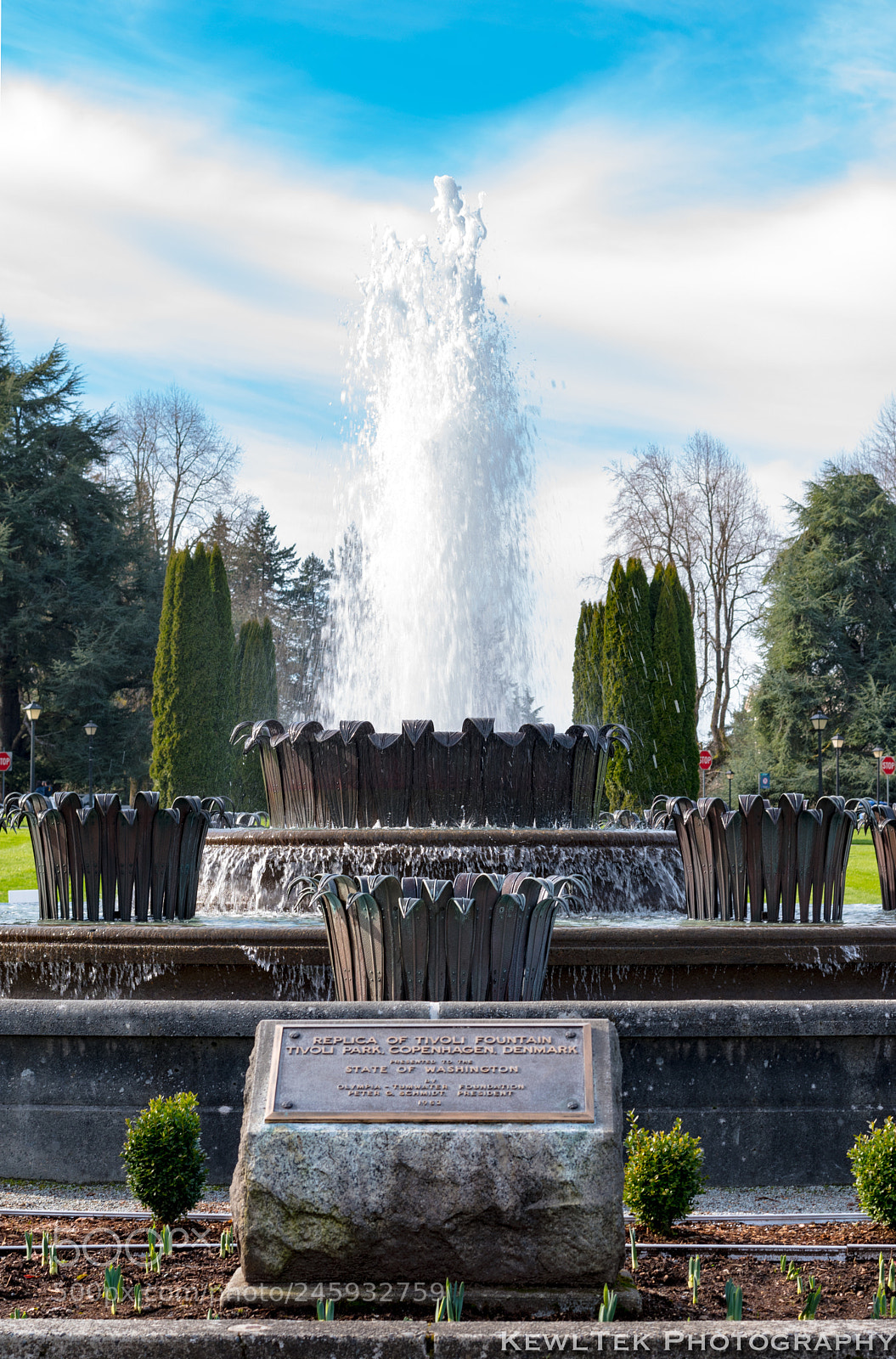 Nikon D5600 sample photo. Tivoli fountain photography