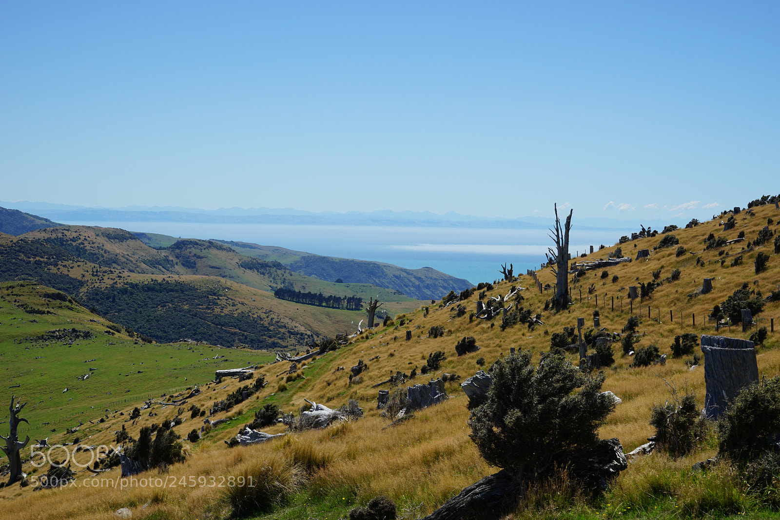 Sony a7 II sample photo. Akaroa day trip photography