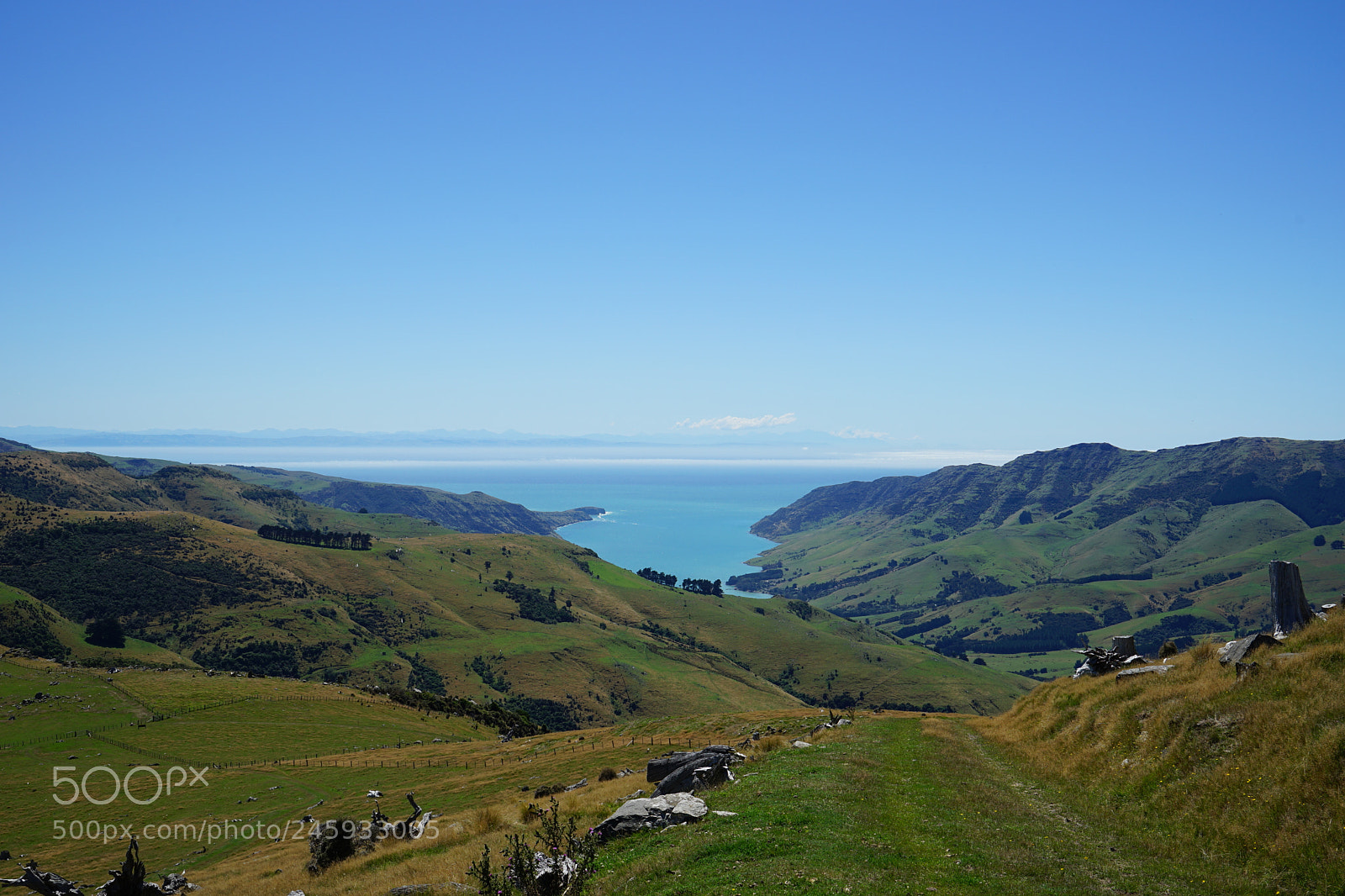 Sony a7 II sample photo. Akaroa day trip photography