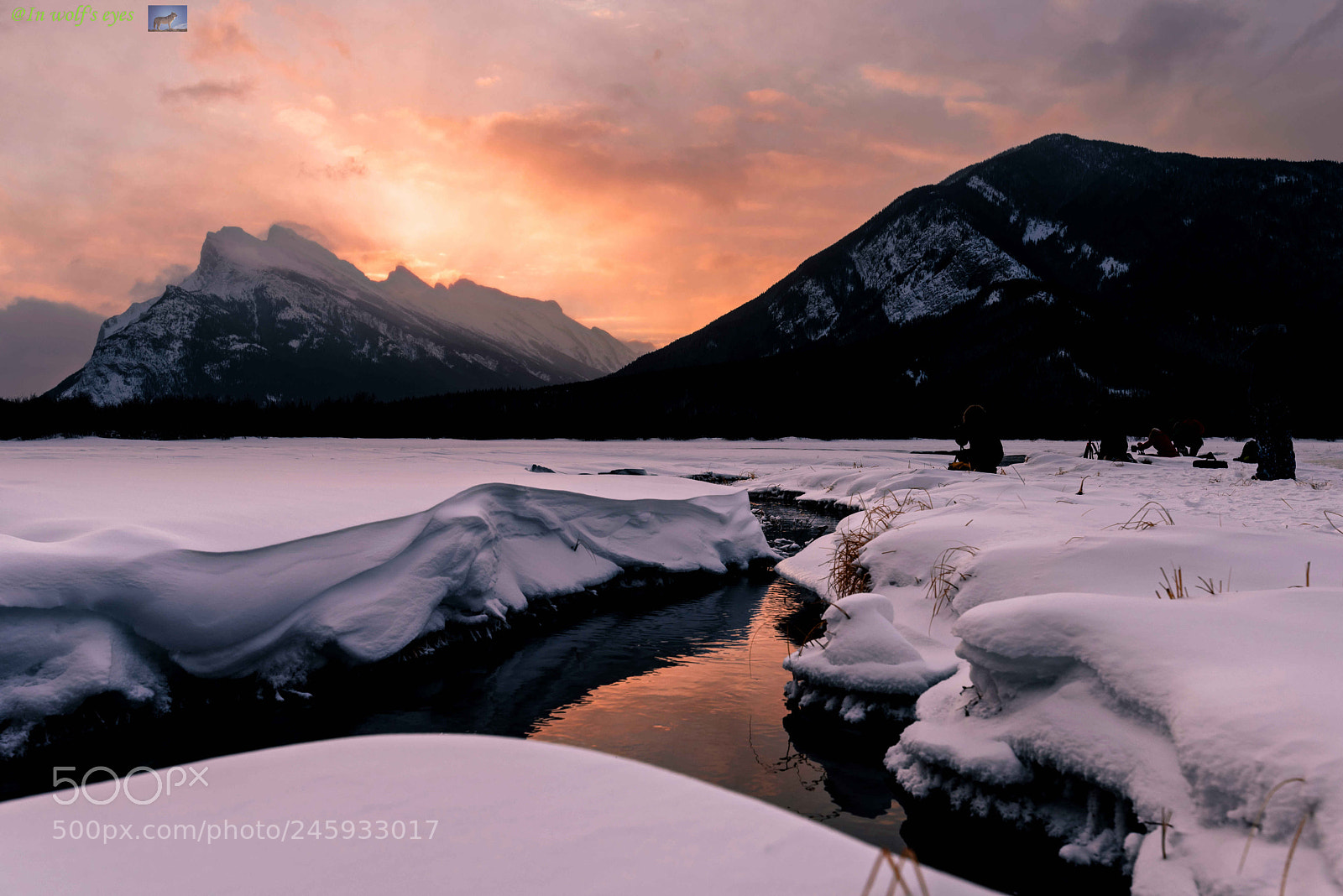 Nikon D810 sample photo. Morning light, canada photography