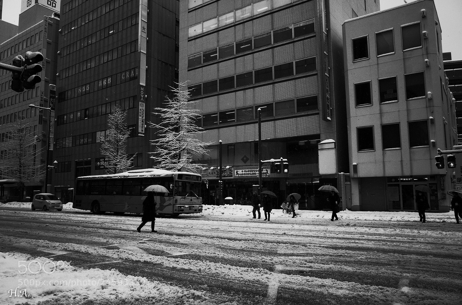 Ricoh GR II sample photo. Leben, niigata. #2 photography