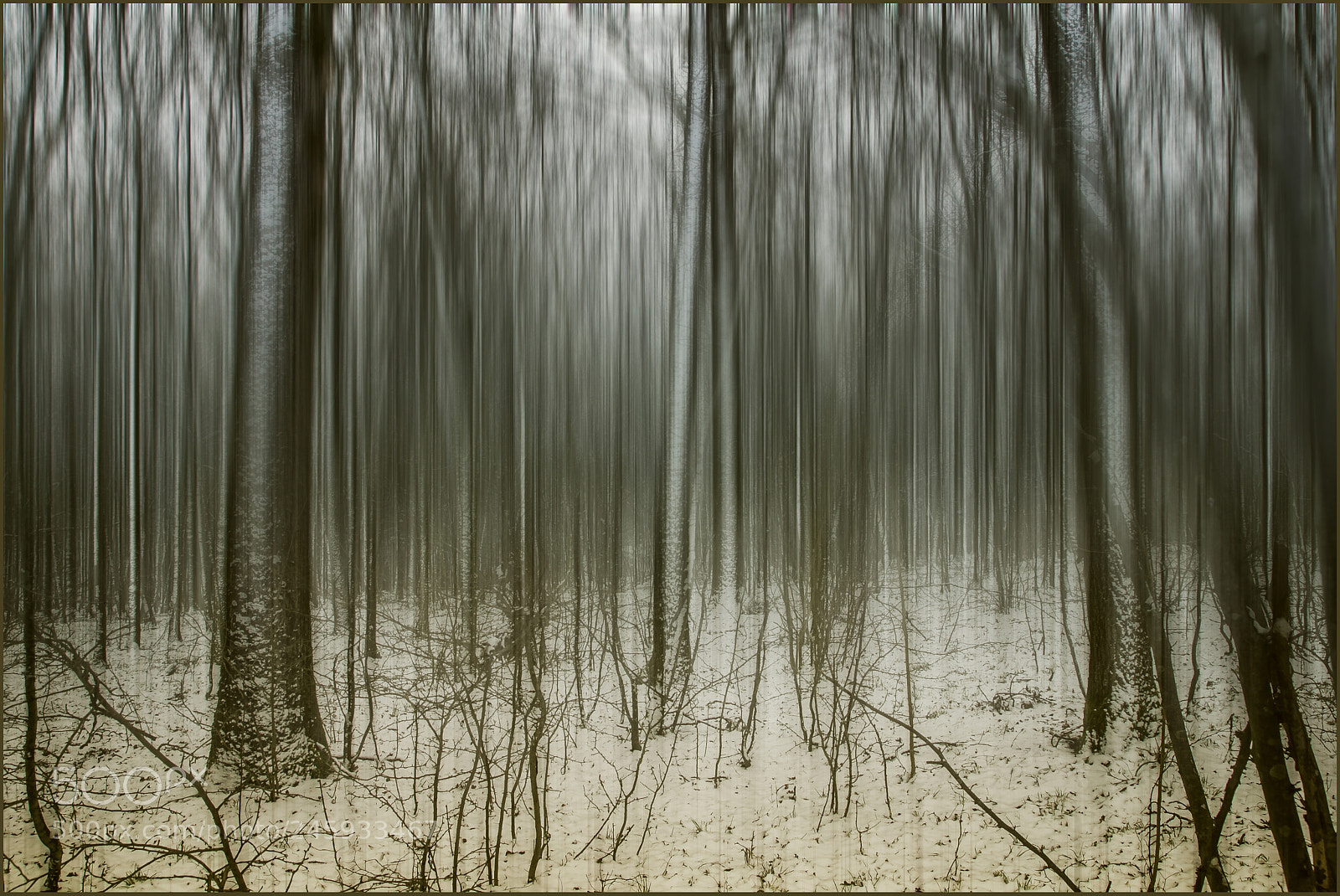 Canon EOS 60D sample photo. Winter forest ( blurry version ) photography