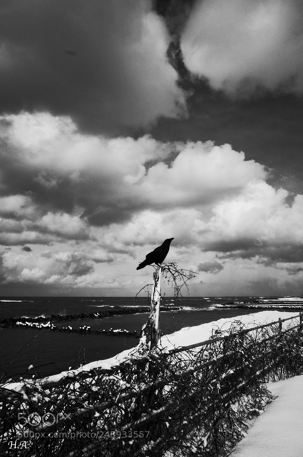 Ricoh GR II sample photo. Schnee, niigata. #7 photography