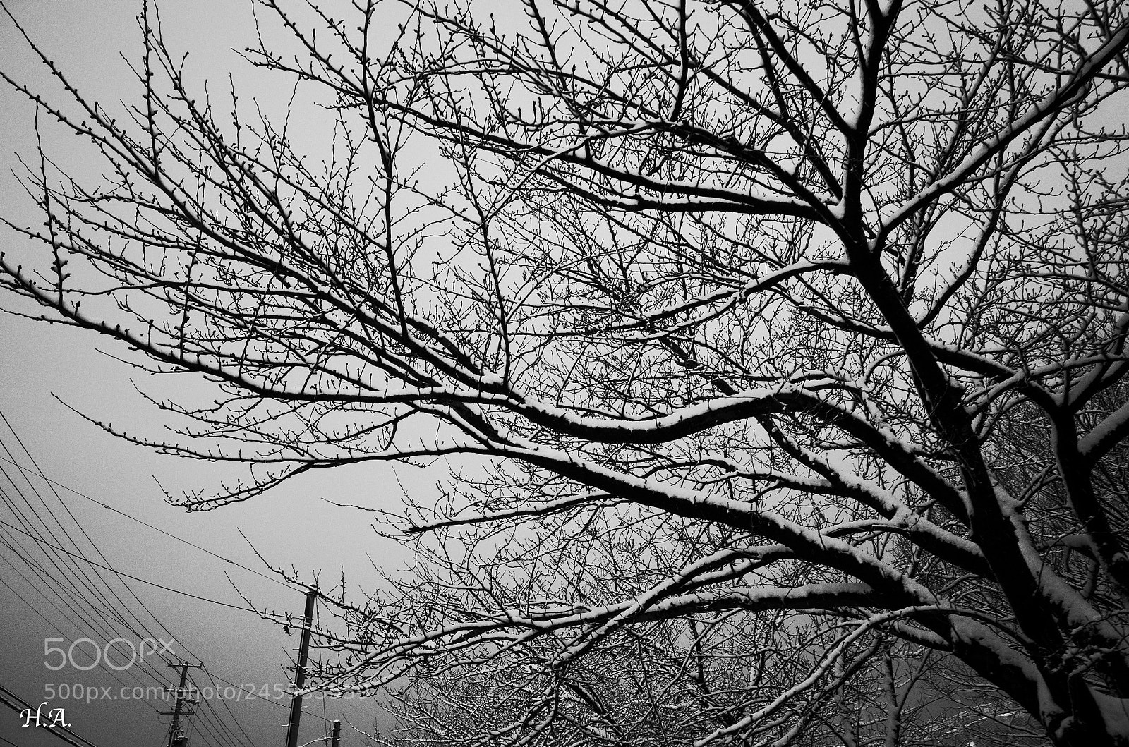 Ricoh GR II sample photo. Schnee, niigata. #3 photography