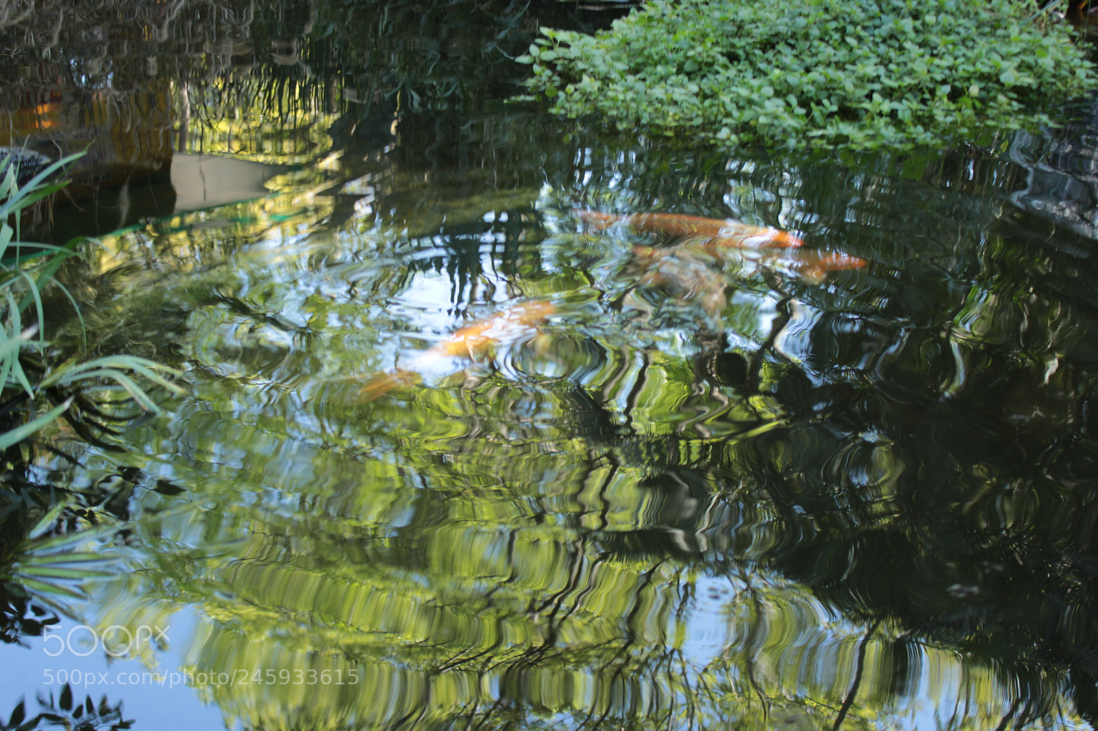Canon EOS 700D (EOS Rebel T5i / EOS Kiss X7i) sample photo. Escribir bajo el agua photography