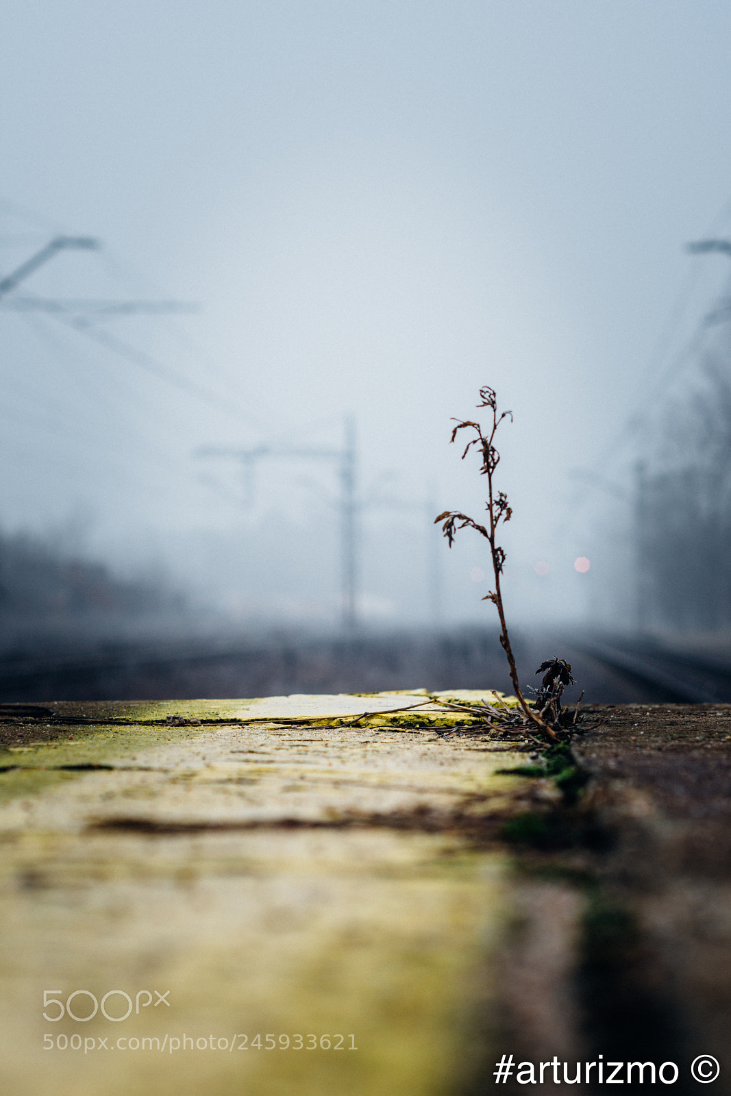 Nikon D7200 sample photo. I am waiting ii photography