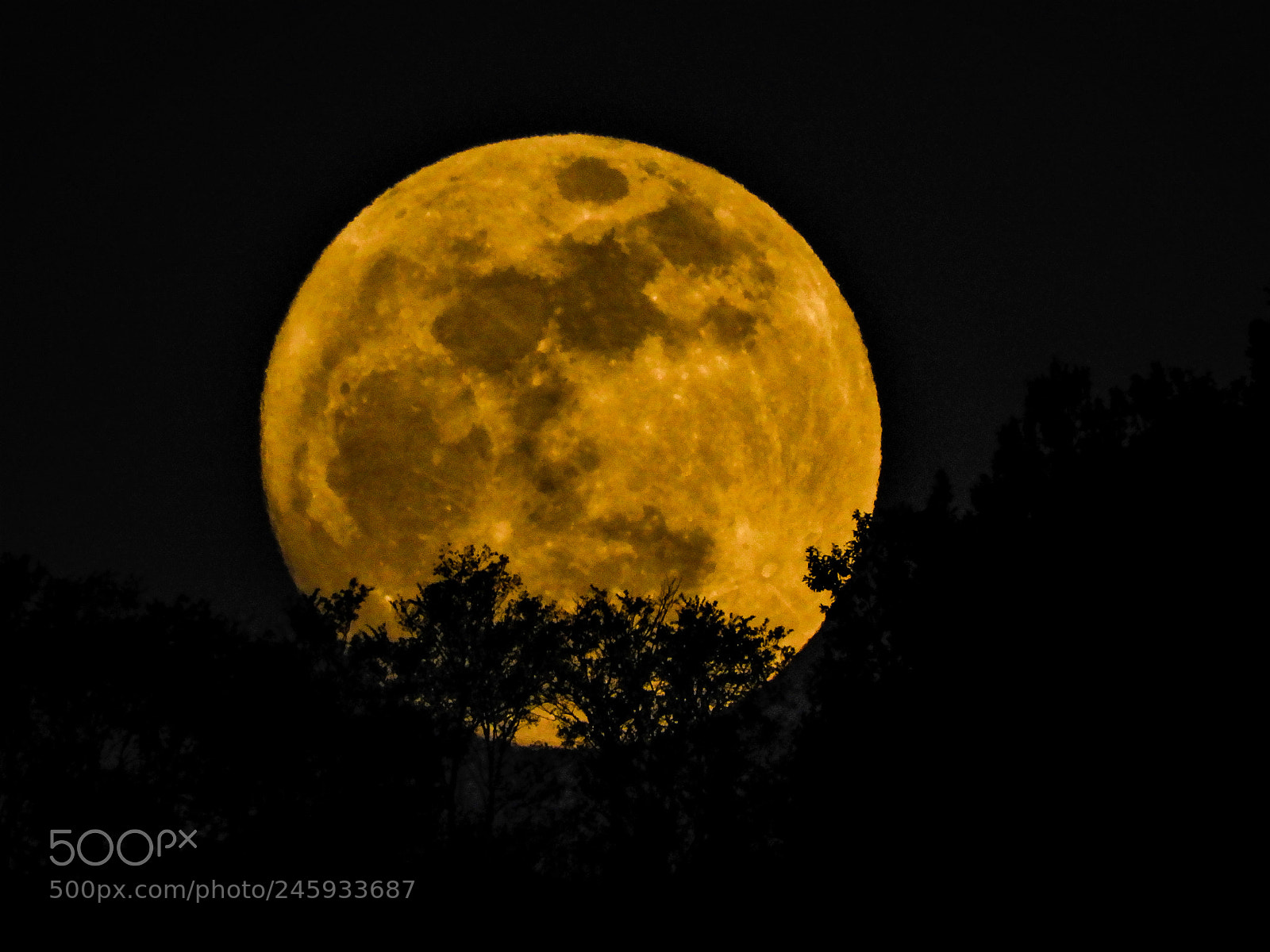 Nikon Coolpix B700 sample photo. Full moon photography