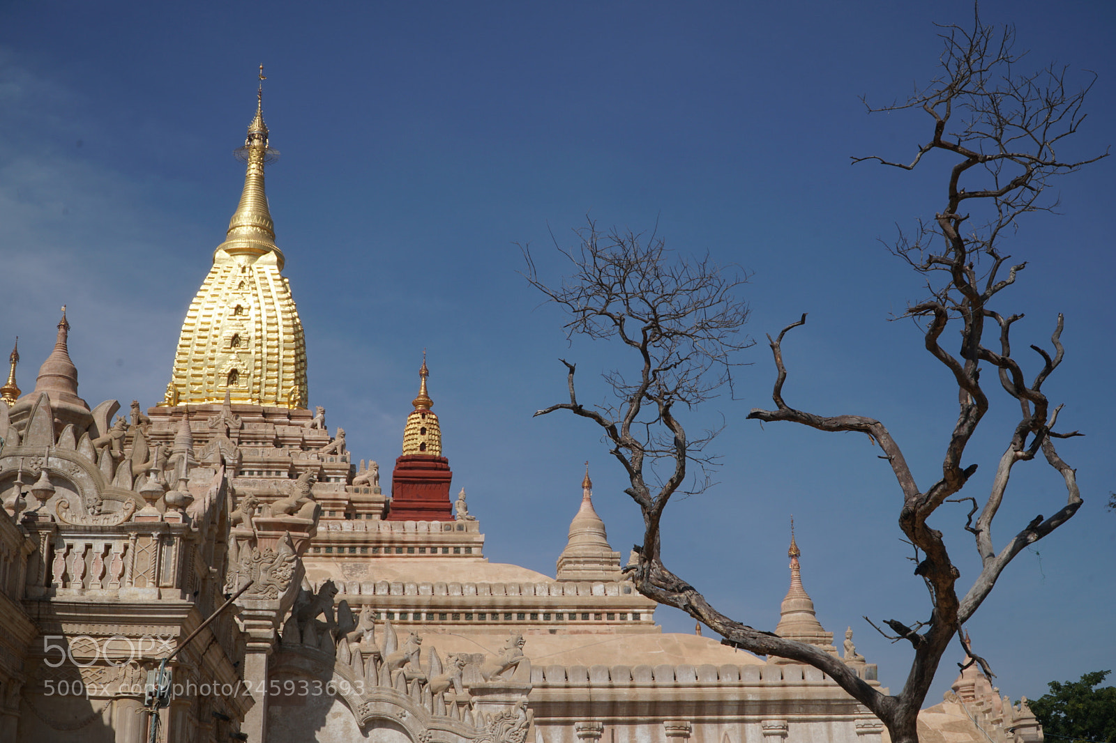 Sony a6300 sample photo. #myanmar photography