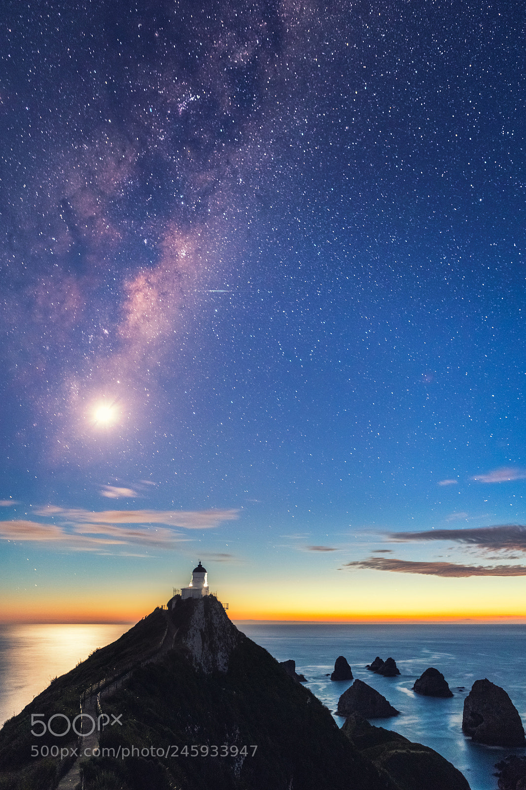 Canon EOS-1D X Mark II sample photo. Nugget point photography